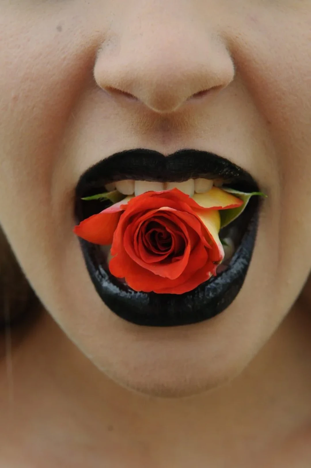 La Rose