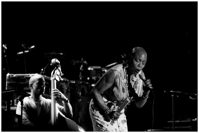 Dee Dee’s Live