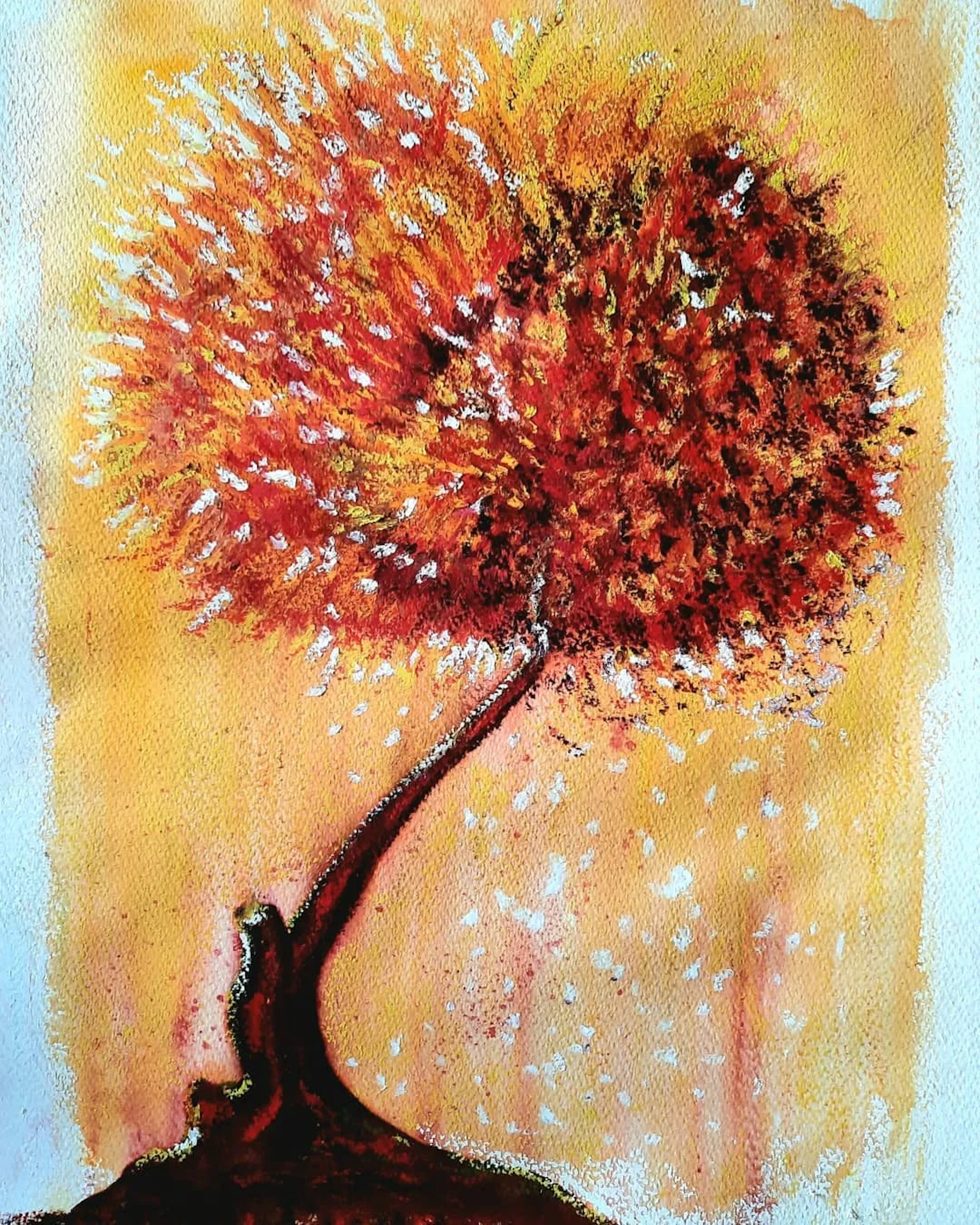 Arbre pyrophyle (5)