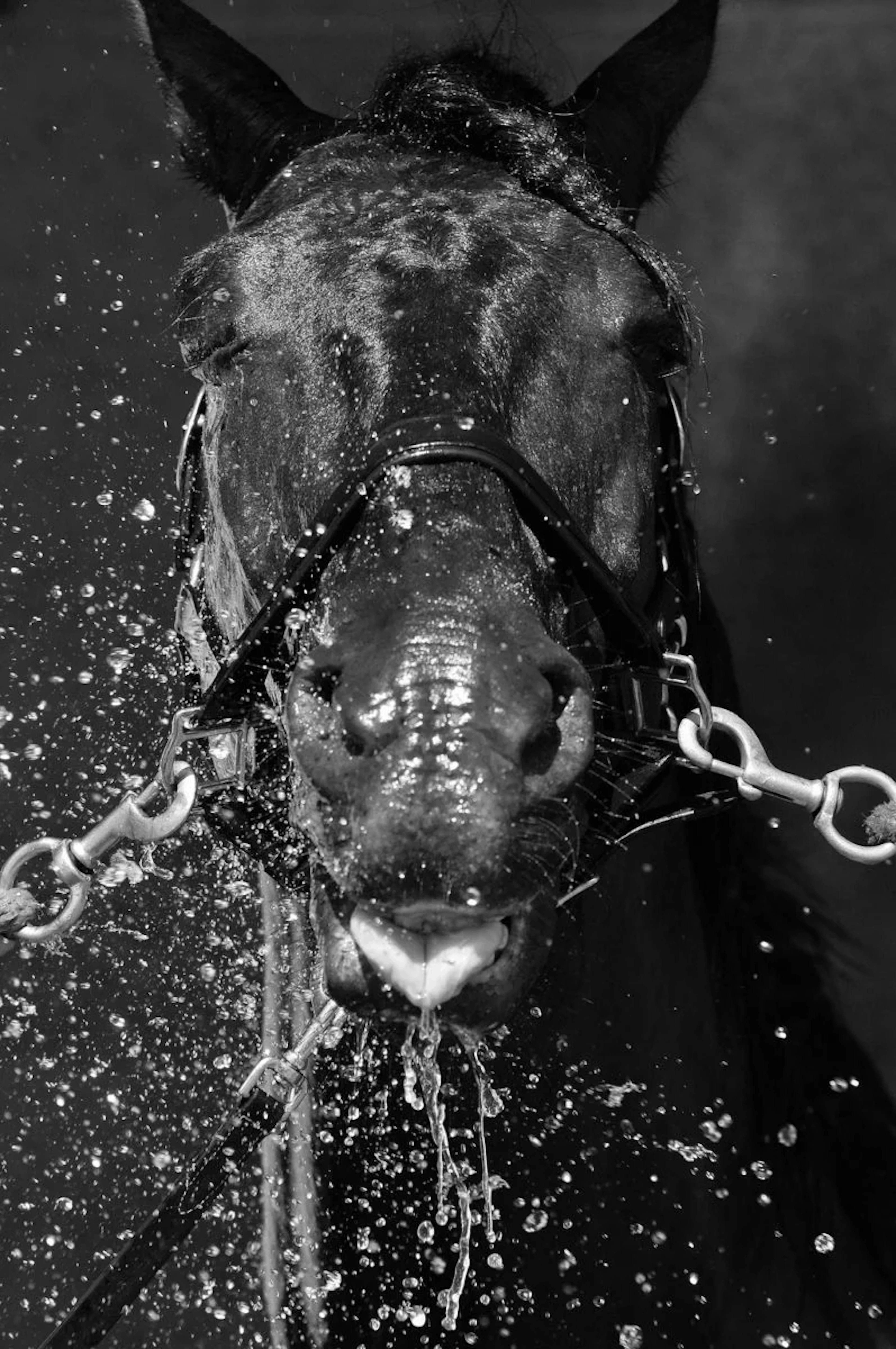 La Douche