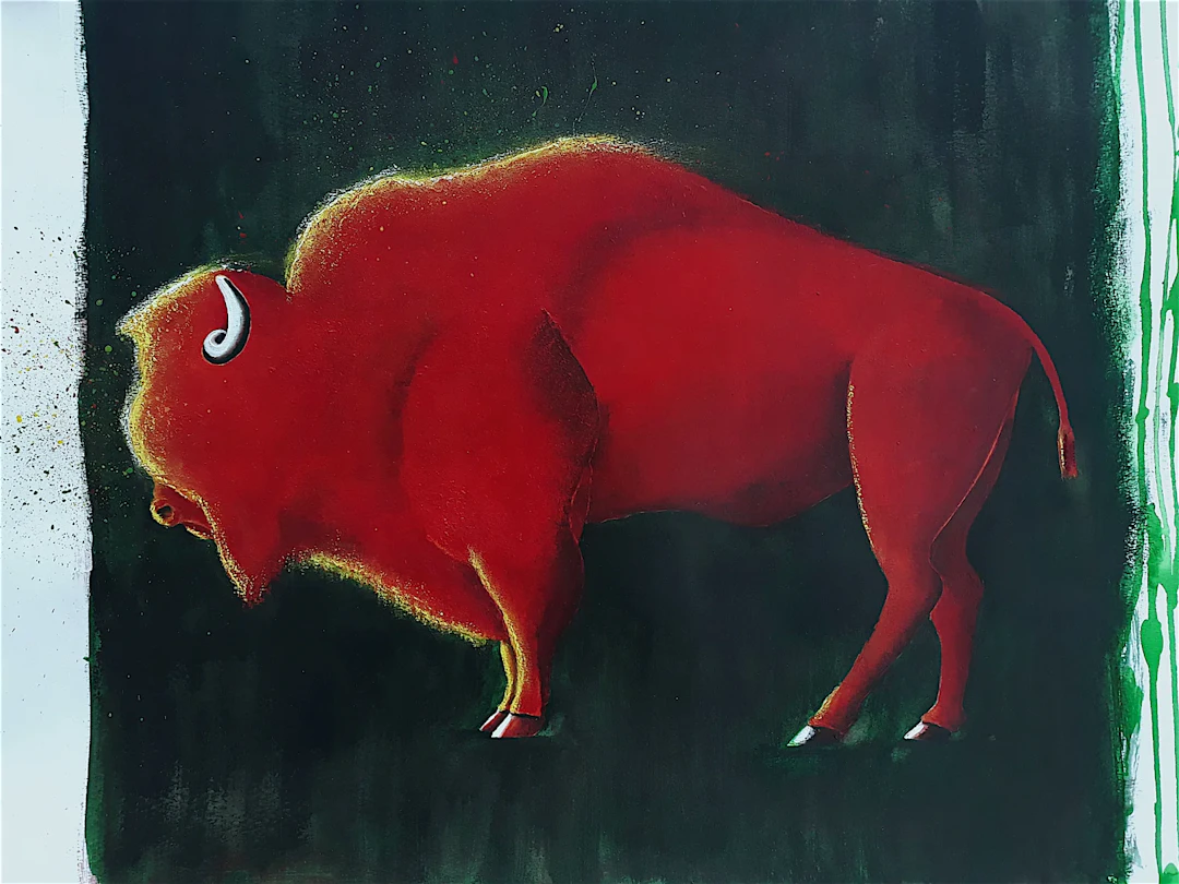 Bison Bison