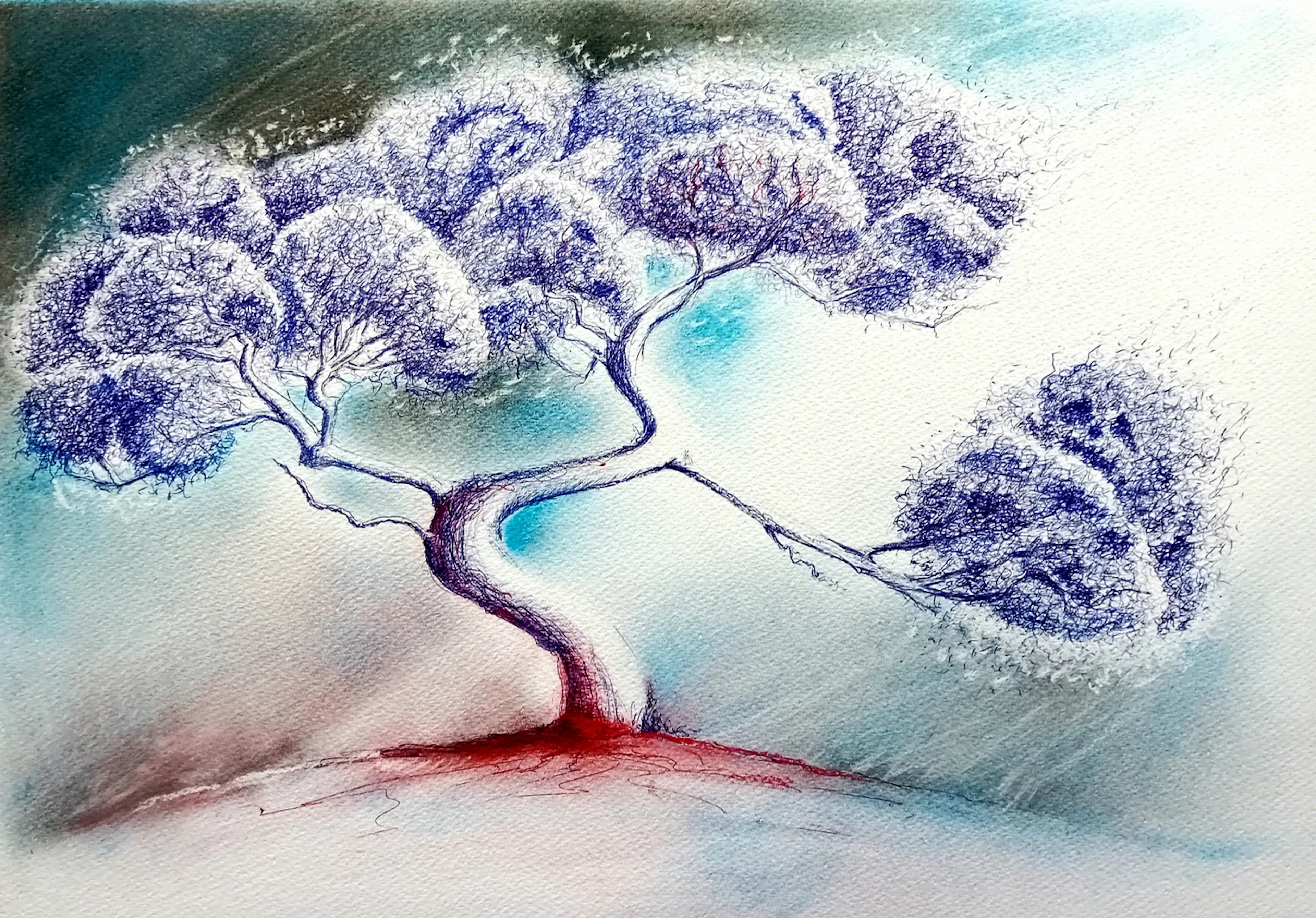 Arbre bleu, terre rouge