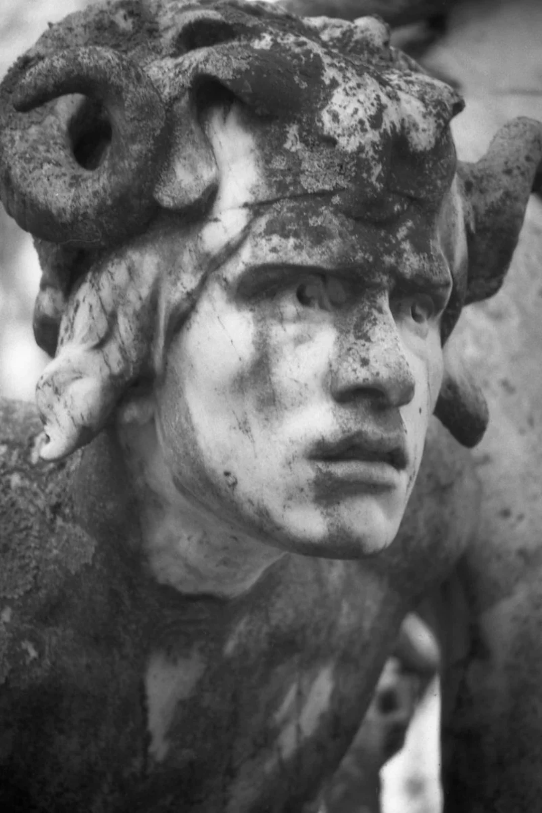 Le Faune