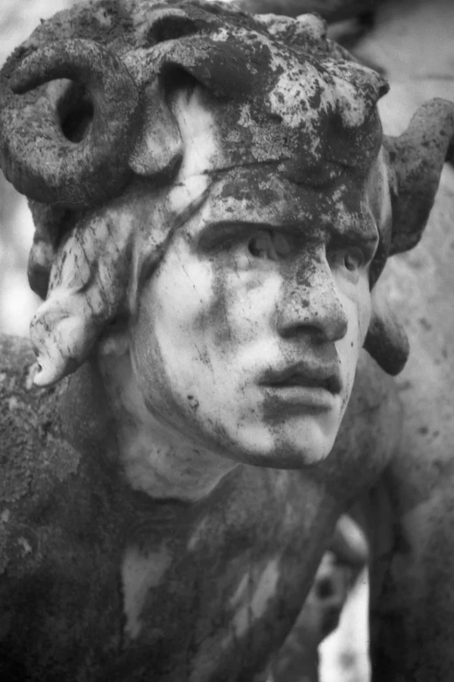 Le Faune