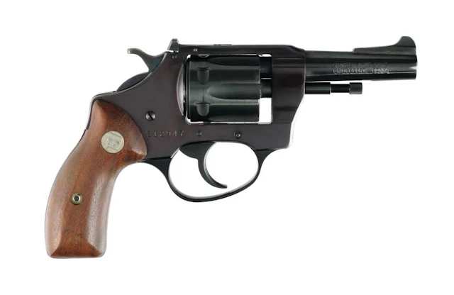 Charter Arms Pathfinder .22 LR Revolver