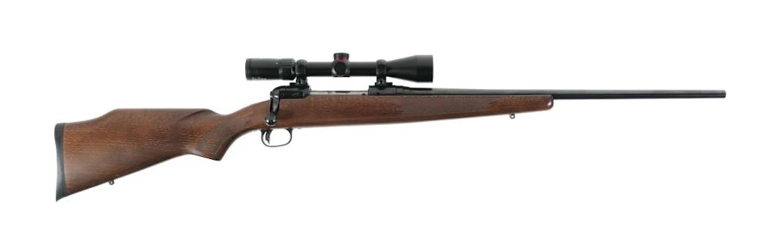 Savage Model 110 .270 Win Bolt Action Rifle