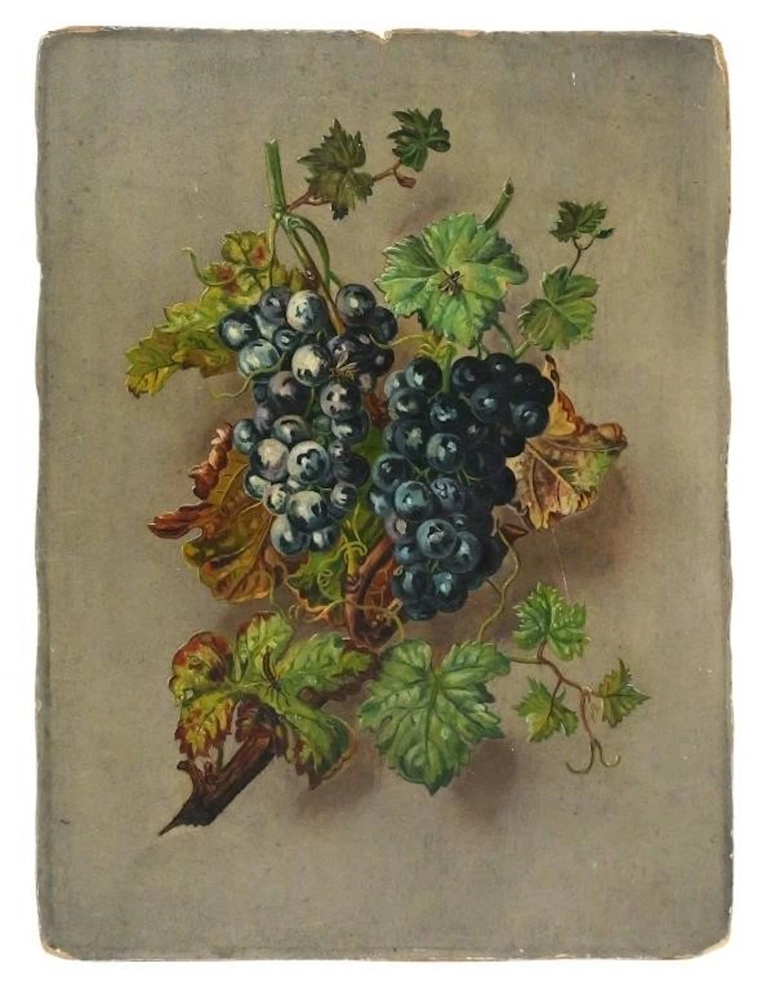 AMERICAN SCHOOL, 19th Cent, Still Life, O/B
