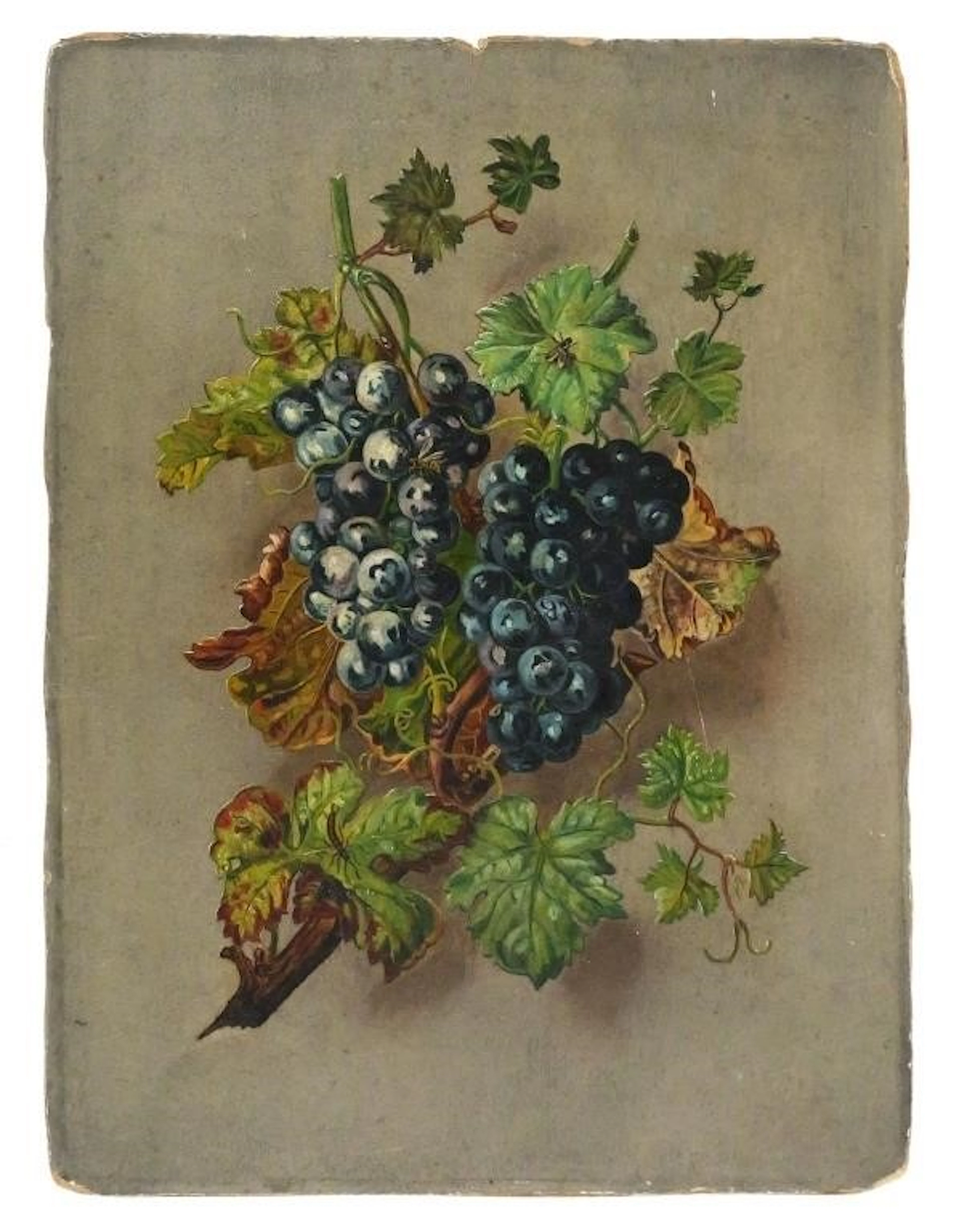 AMERICAN SCHOOL, 19th Cent, Still Life, O/B