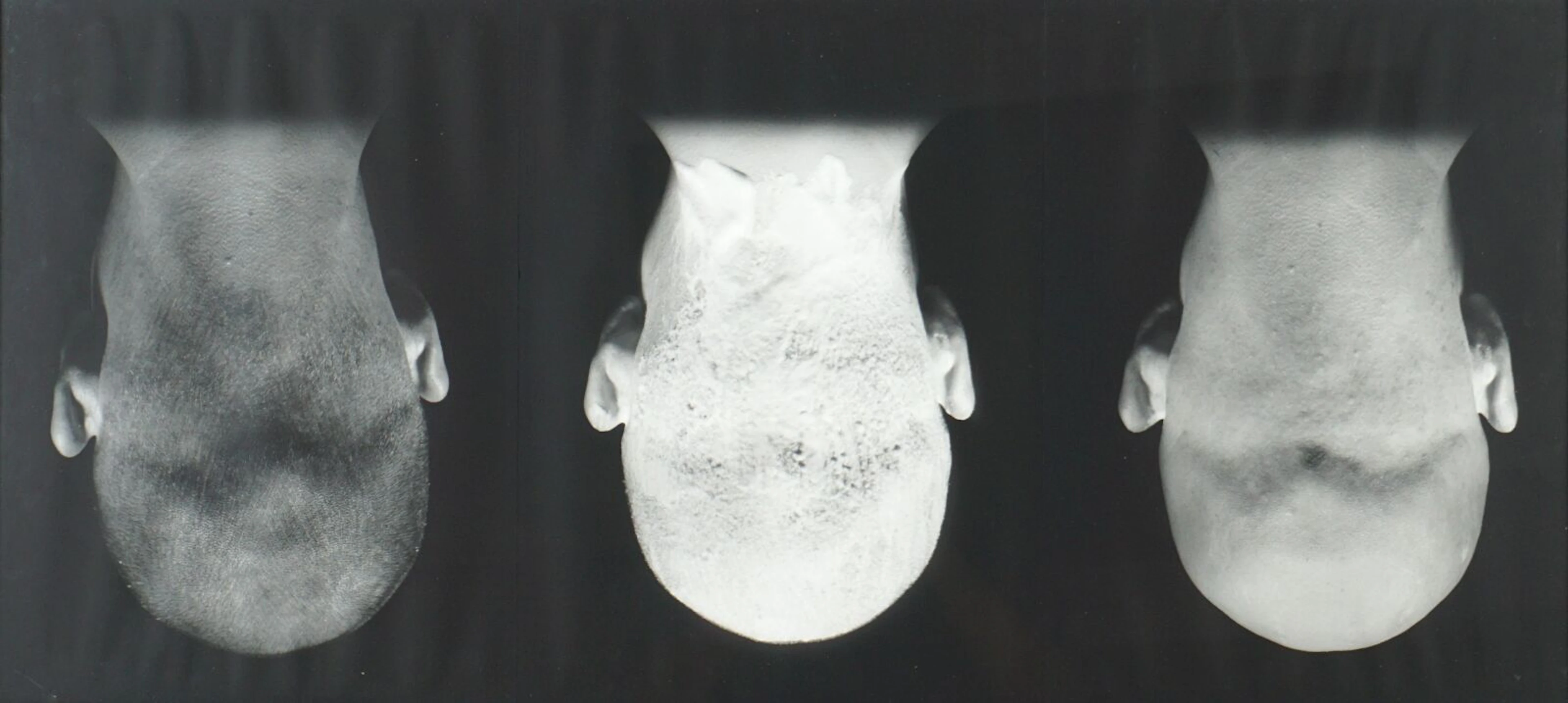 Attribuée à Ute BEHREND (1961)