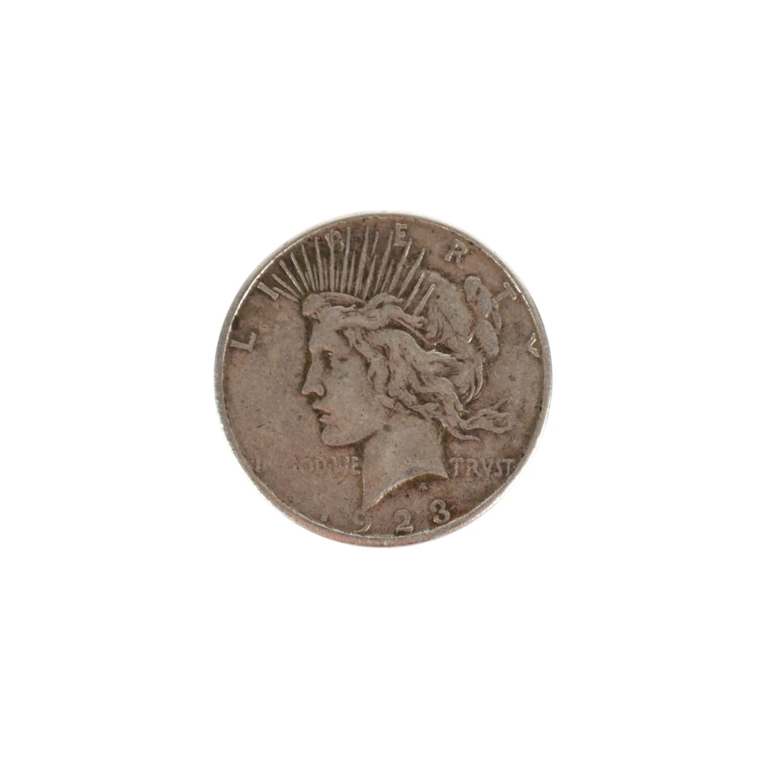 1 x 1 Dollars argent
