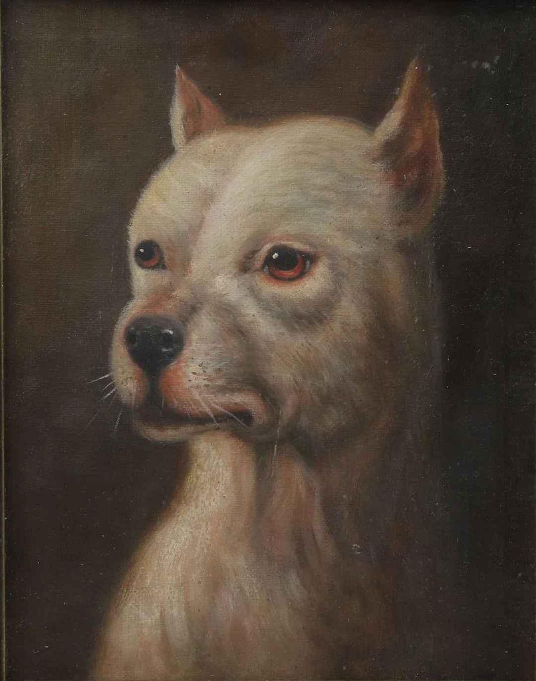 19TH CENTURY ENGLISH SCHOOL PORTRAIT OF A WHITE ENGLISH TERRIER