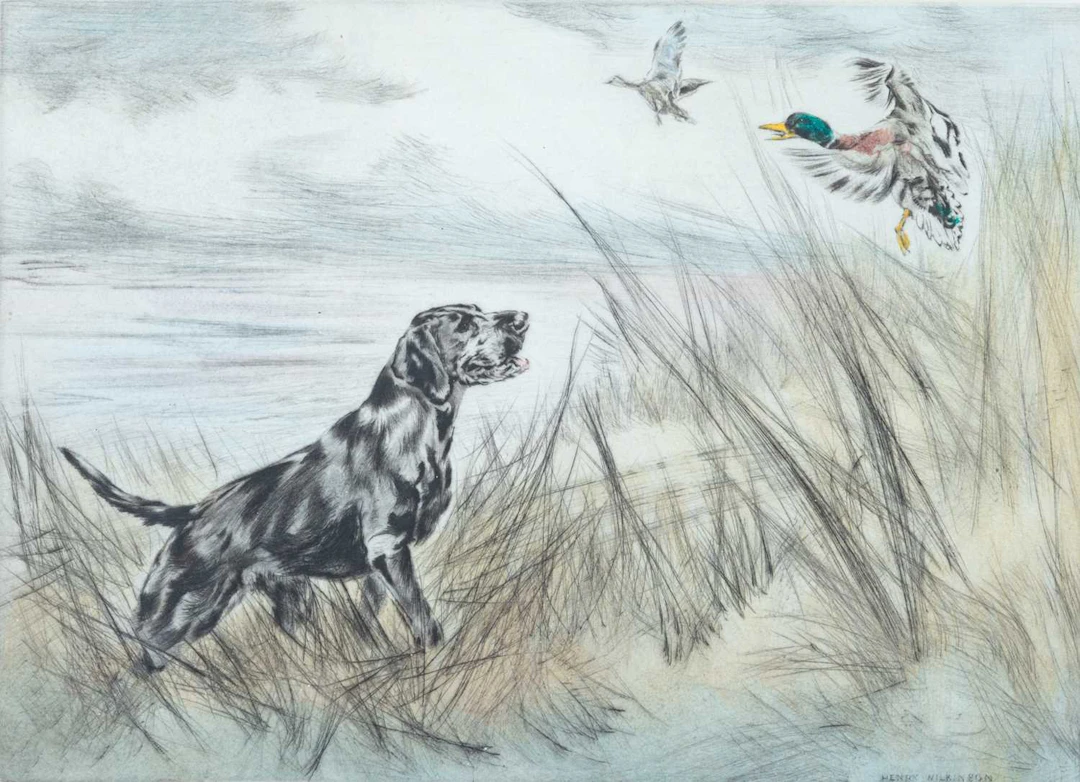 HENRY WILKINSON (1921-2011) A PAIR OF SPORTING PRINTS OF DOGS. LABRADOR