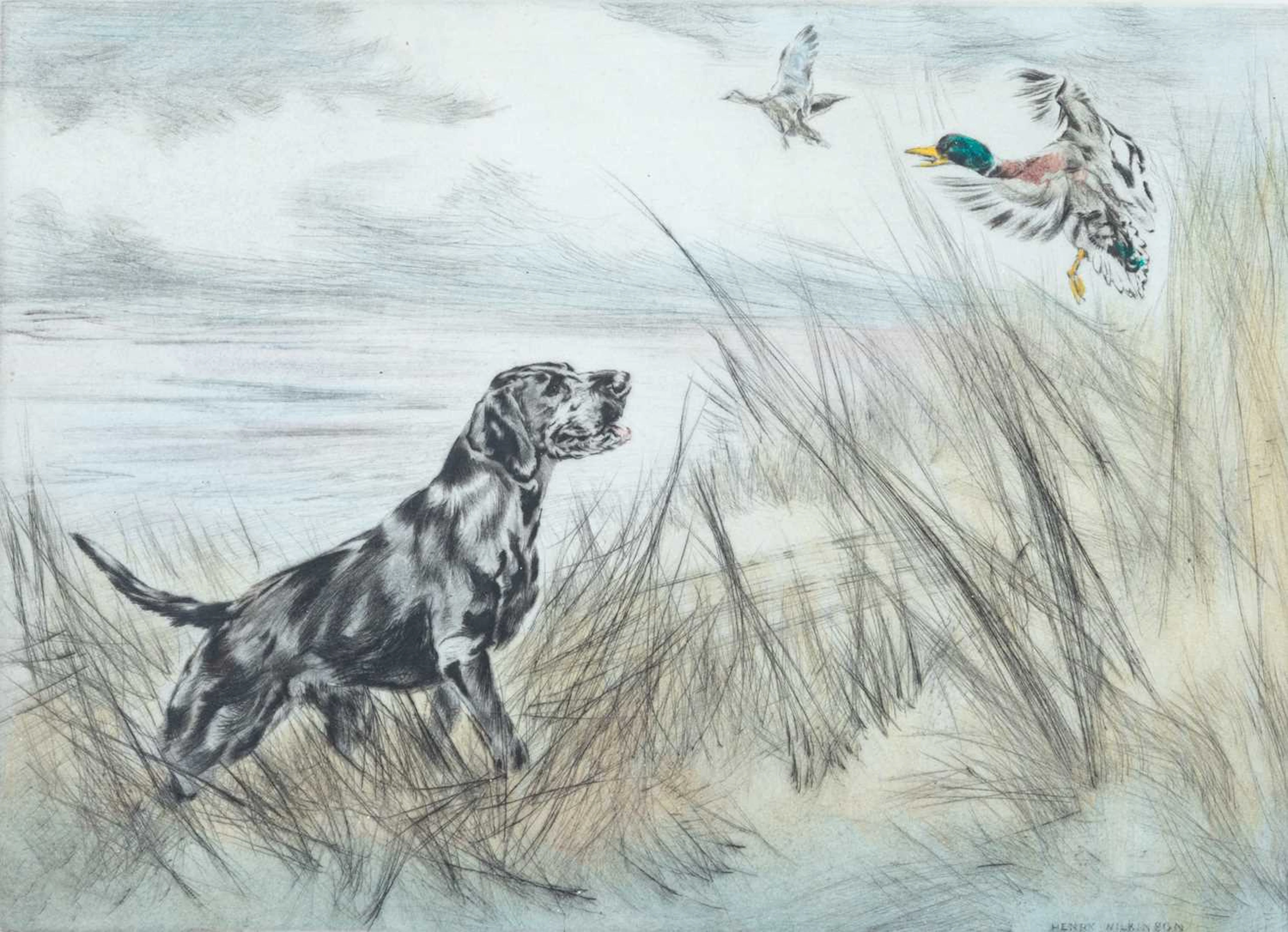 HENRY WILKINSON (1921-2011) A PAIR OF SPORTING PRINTS OF DOGS. LABRADOR