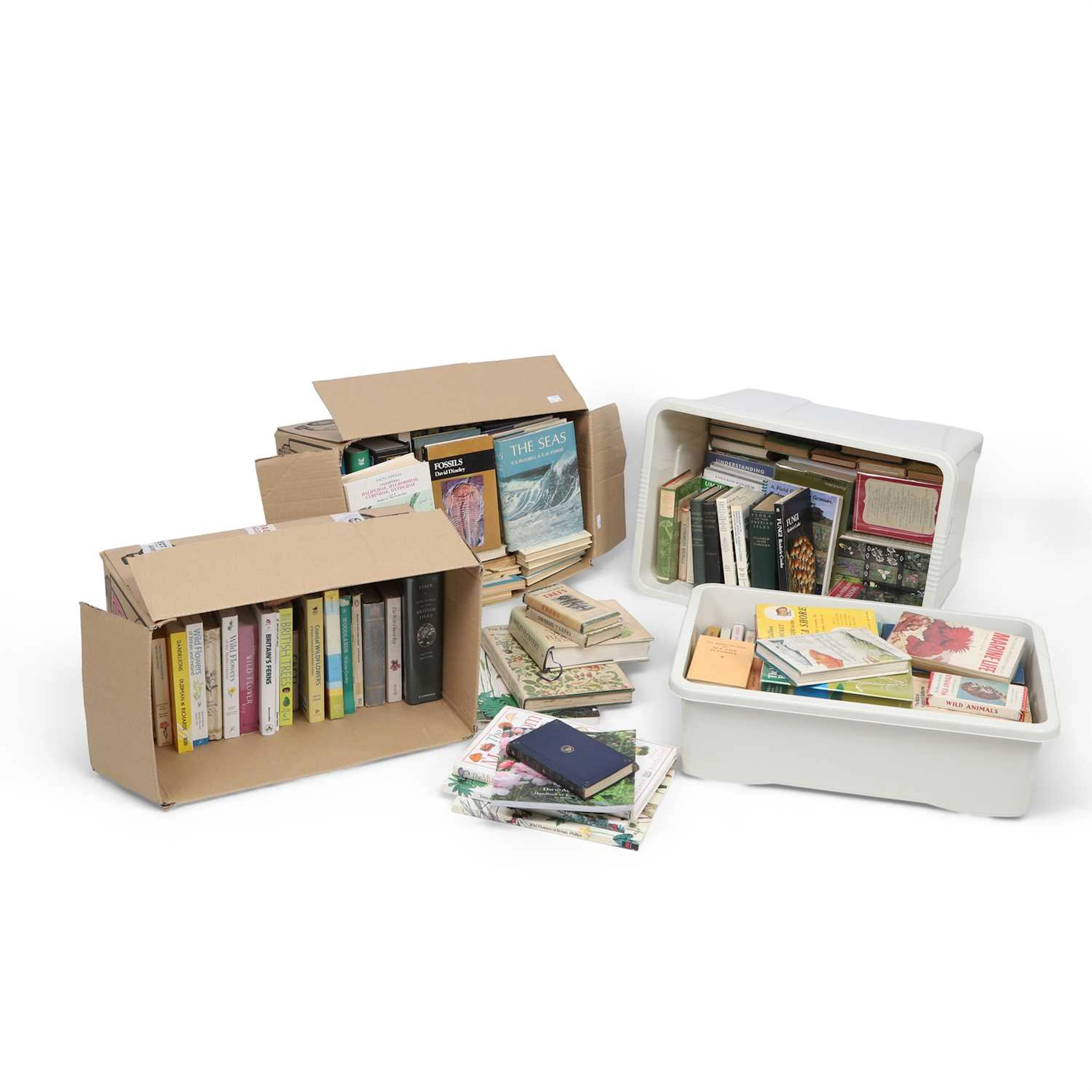 A QUANTITY OF NATURAL HISTORY BOOKS
