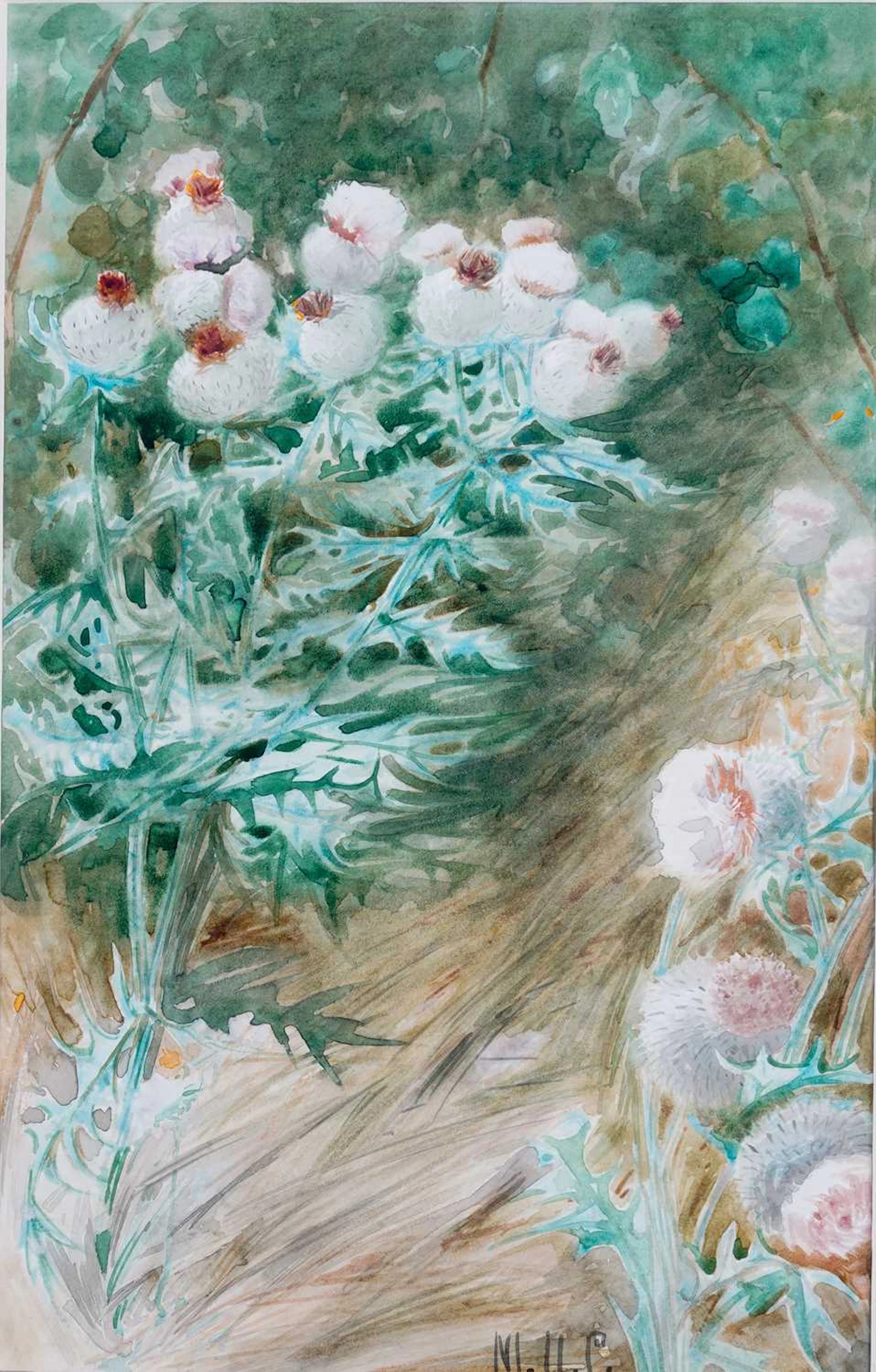 MAUD UMFREVILLE CLARKE (19TH/20TH CENTURY) TWO BOTANICAL STUDIES: