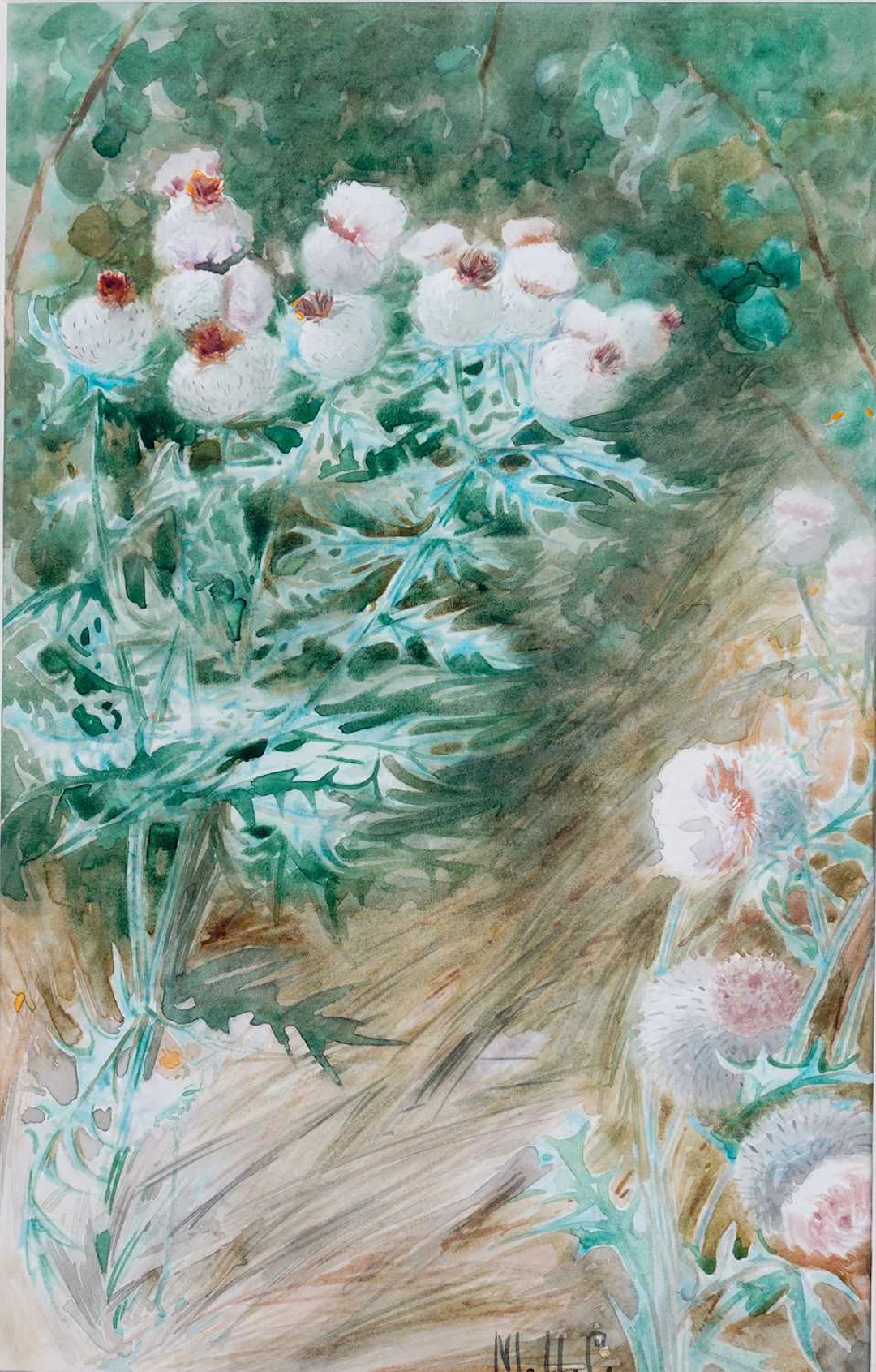 MAUD UMFREVILLE CLARKE (19TH/20TH CENTURY) TWO BOTANICAL STUDIES: