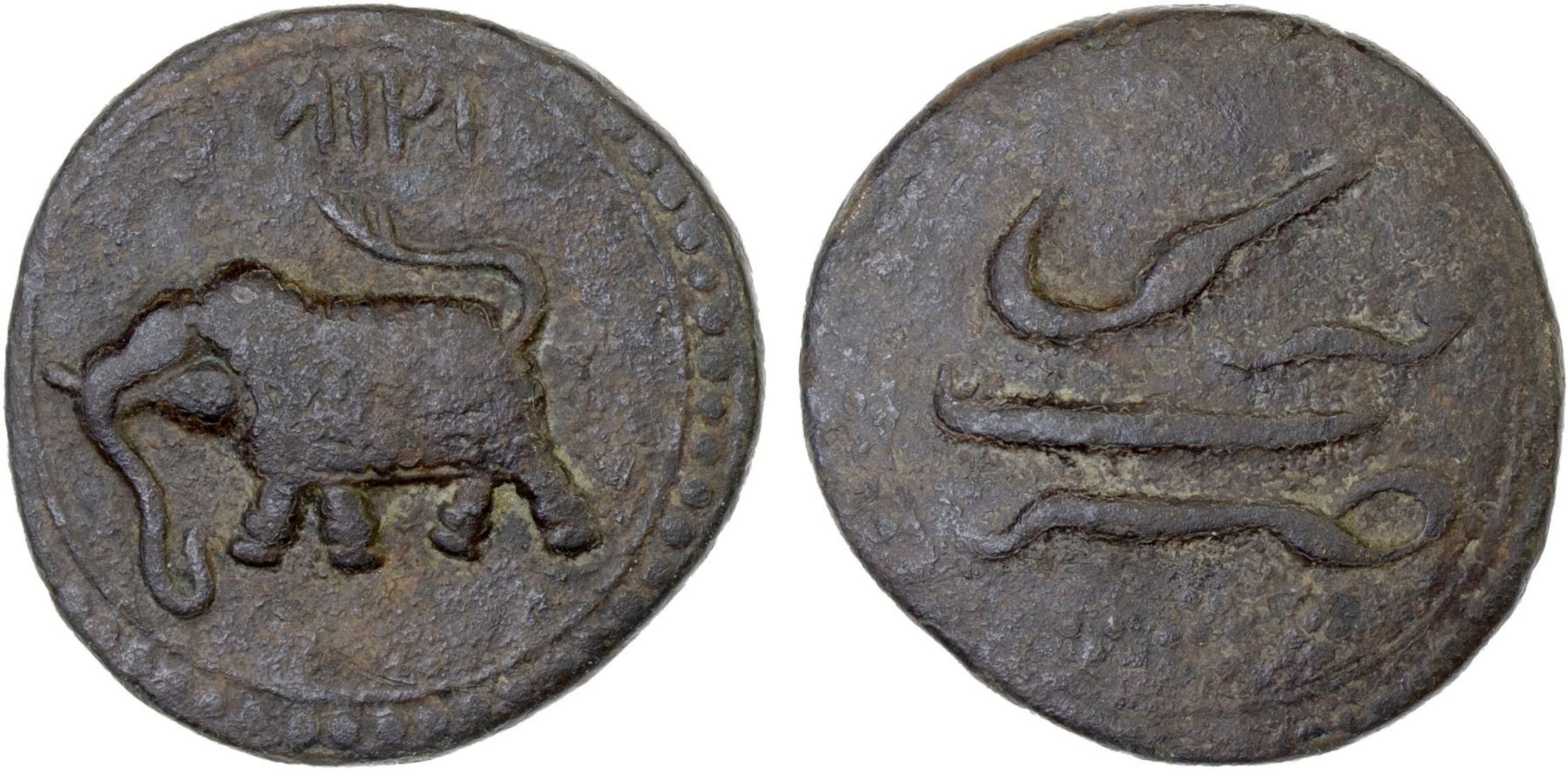MYSORE: Tipu Sultan, 1782-1799, AE paisa (zohra), (11.08g), Farrukhi