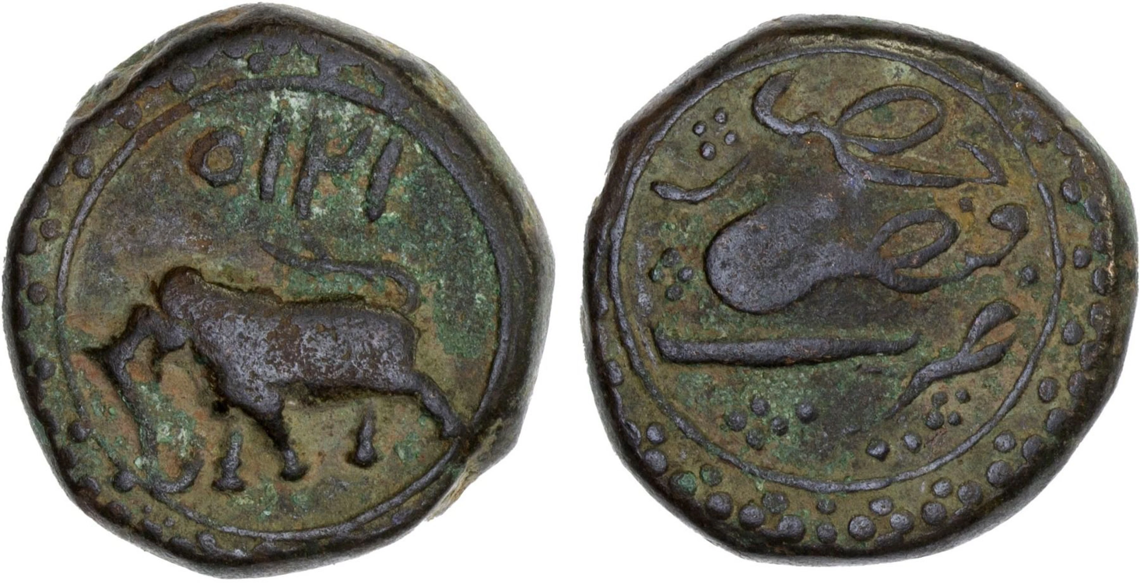 MYSORE: Tipu Sultan, 1782-1799, AE paisa (zohra) (11.25g), Faiz Hisar