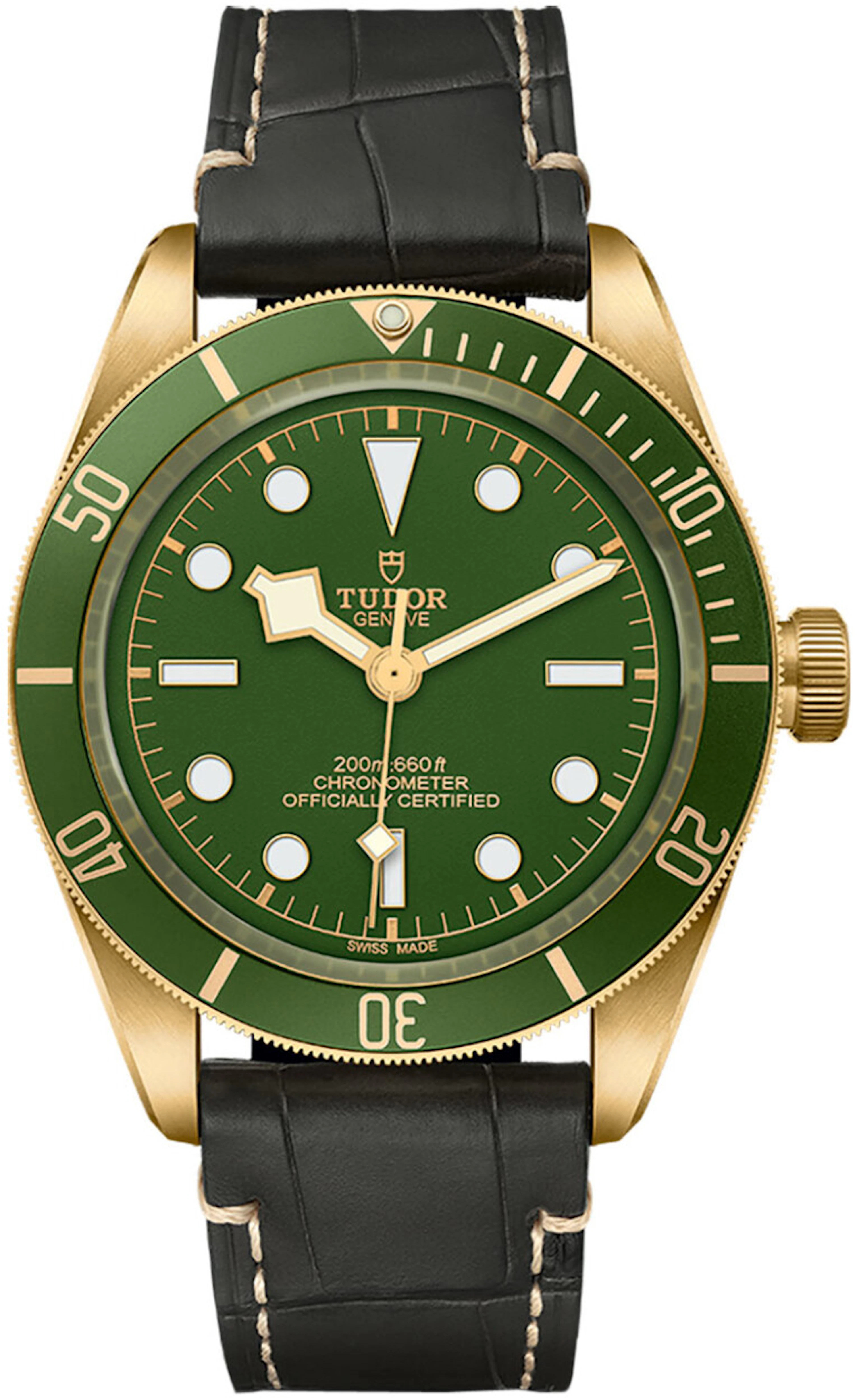 Tudor Black Bay M79018V-0001 M79018V-0001