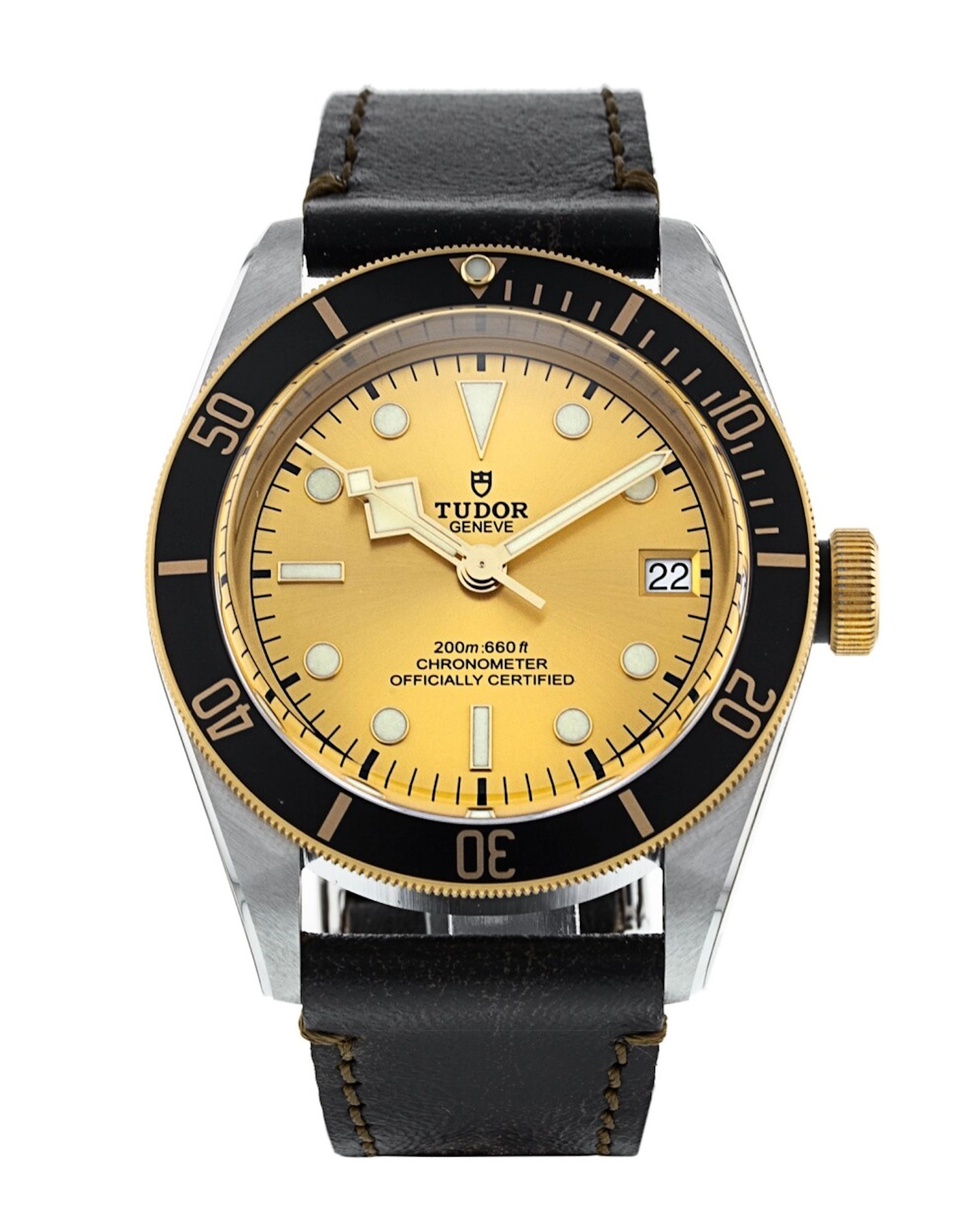 Tudor Black Bay M79733N-0003 M79733N-0003