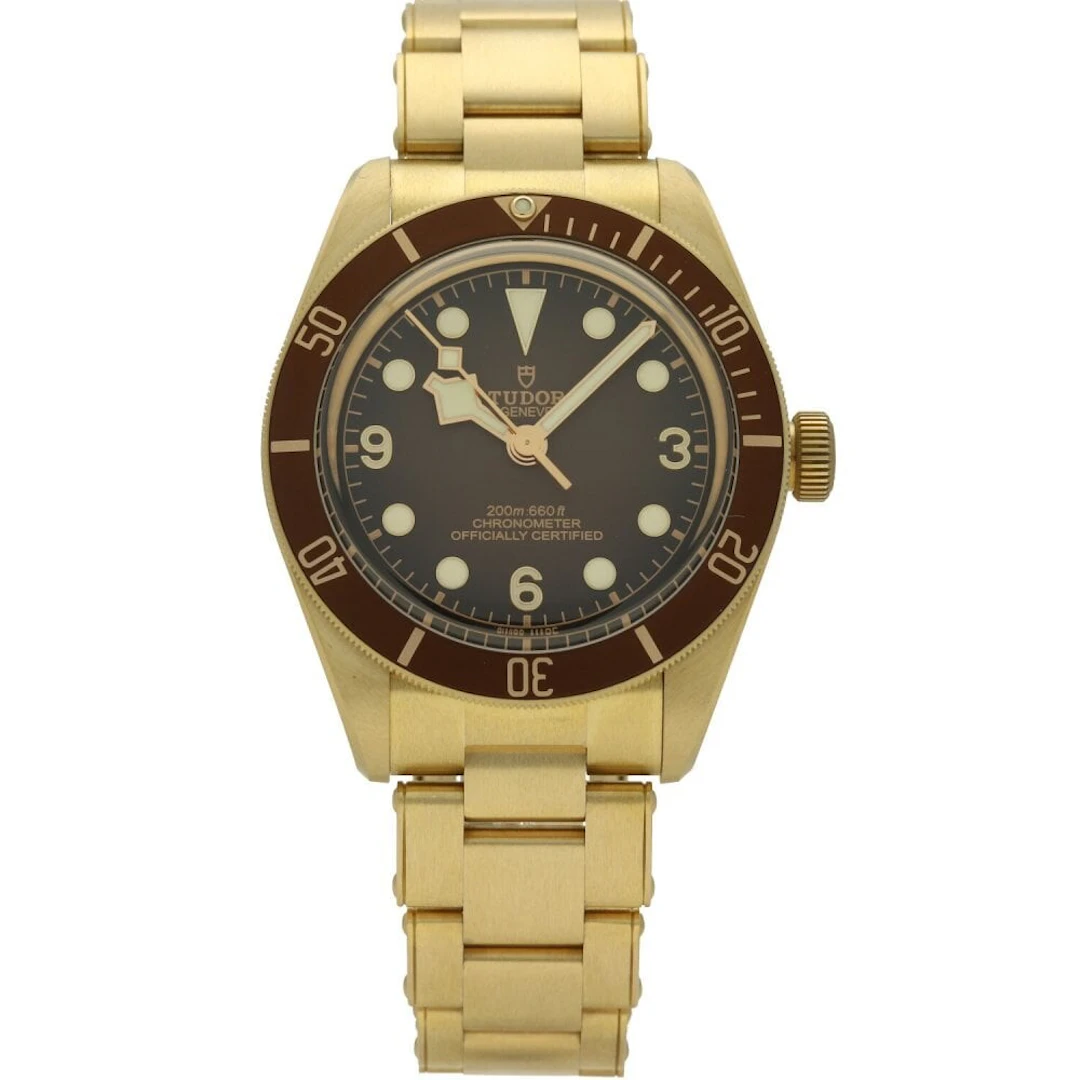 Tudor Black Bay M79012M-0001 M79012M-0001