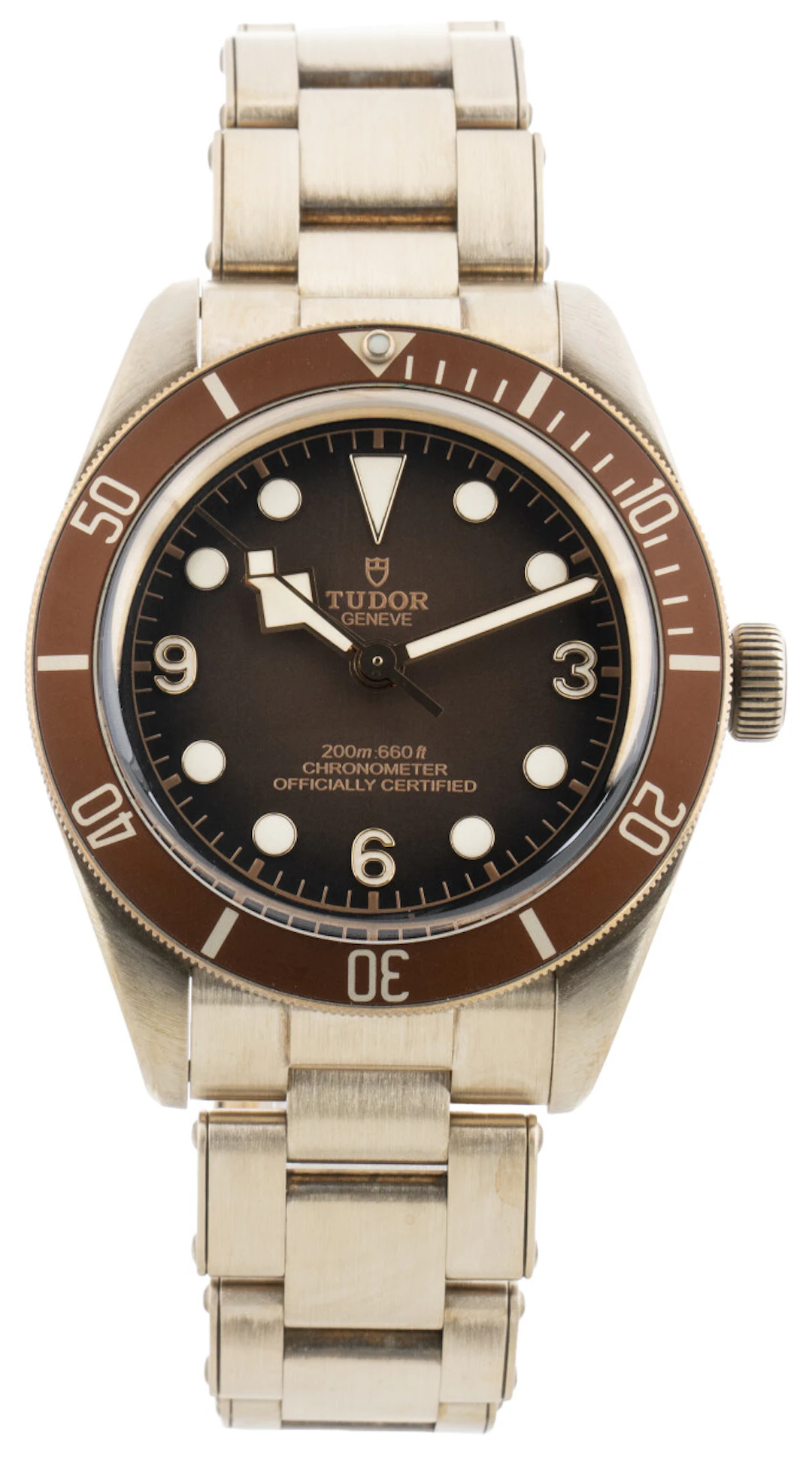 Tudor Black Bay M79012M-0001 M79012M-0001