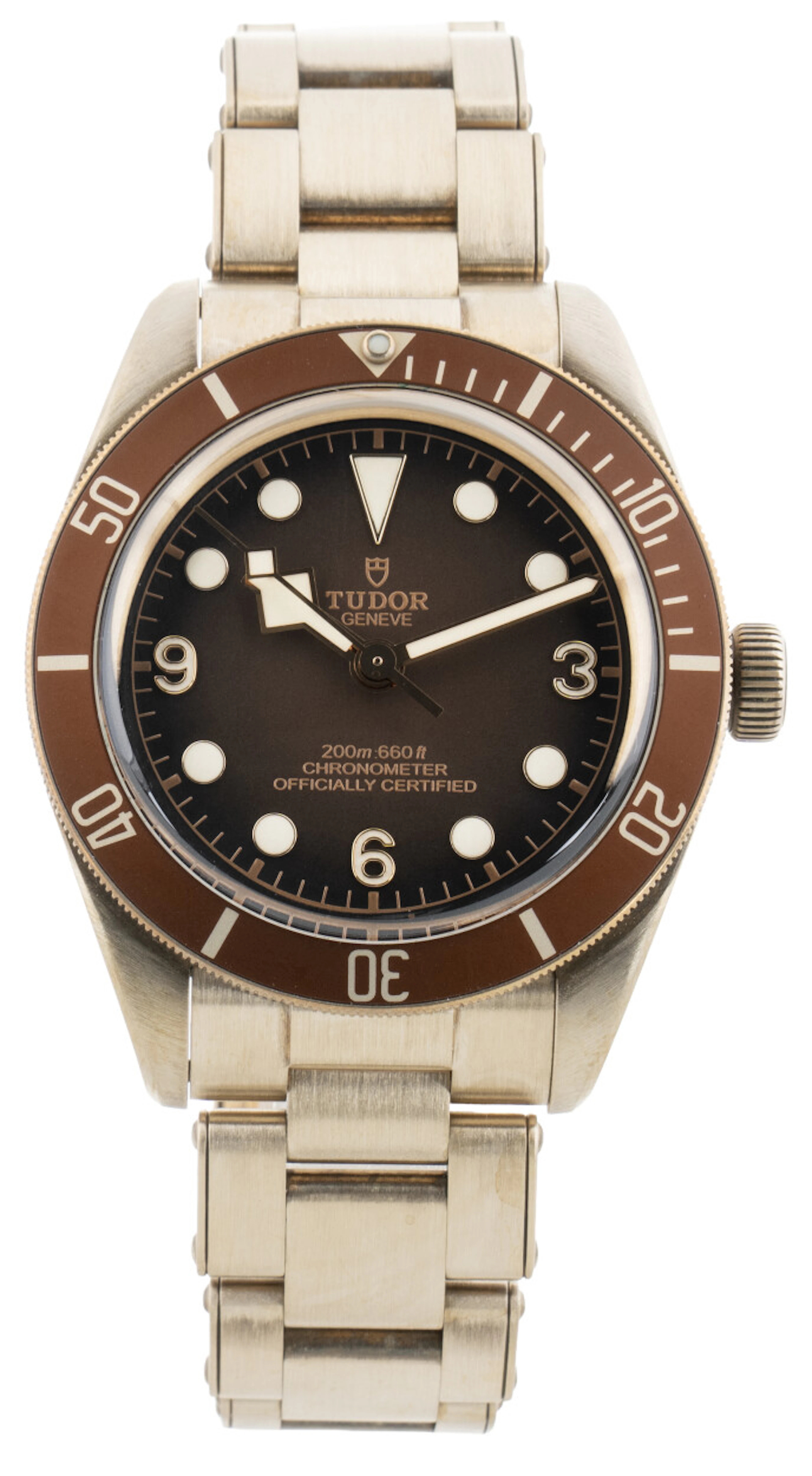 Tudor Black Bay M79012M-0001 M79012M-0001