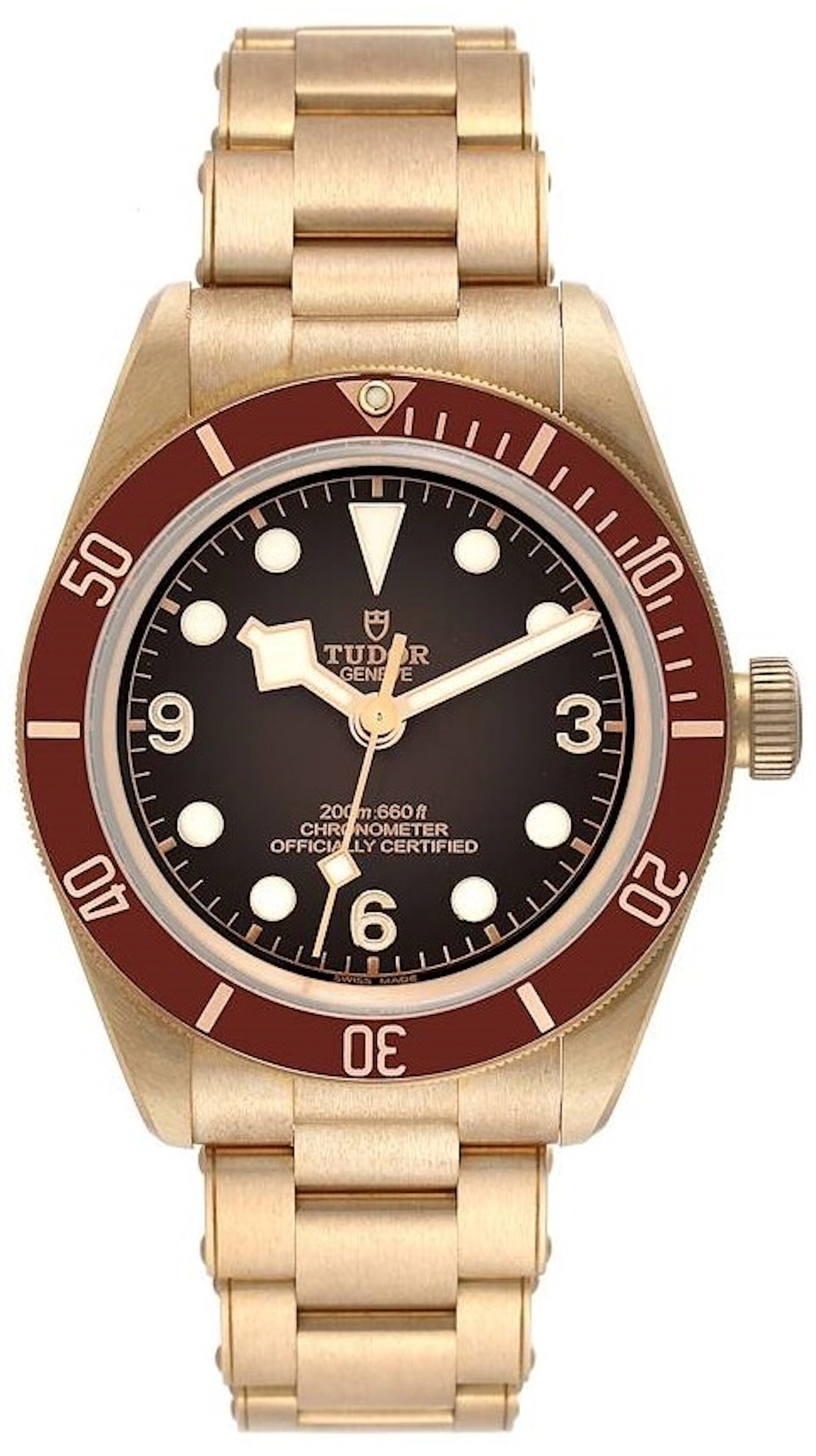 Tudor Black Bay M79012M-0001 M79012M-0001