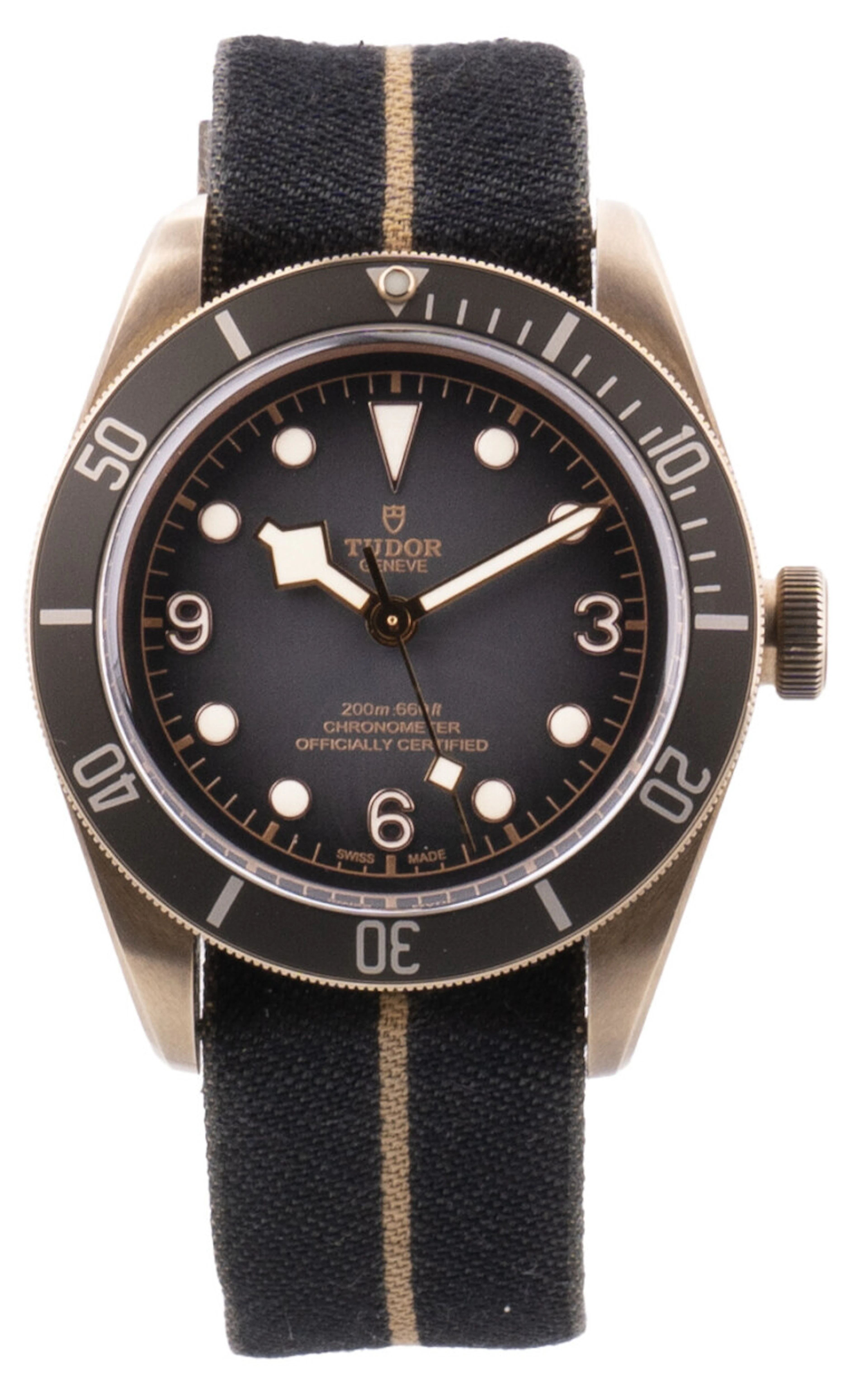 Tudor Black Bay M79250BA-0002 M79250BA-0002