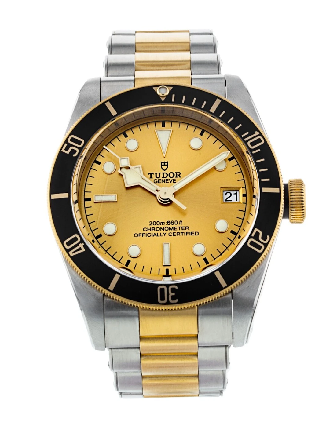 Tudor Black Bay M79733N-0004 M79733N-0004