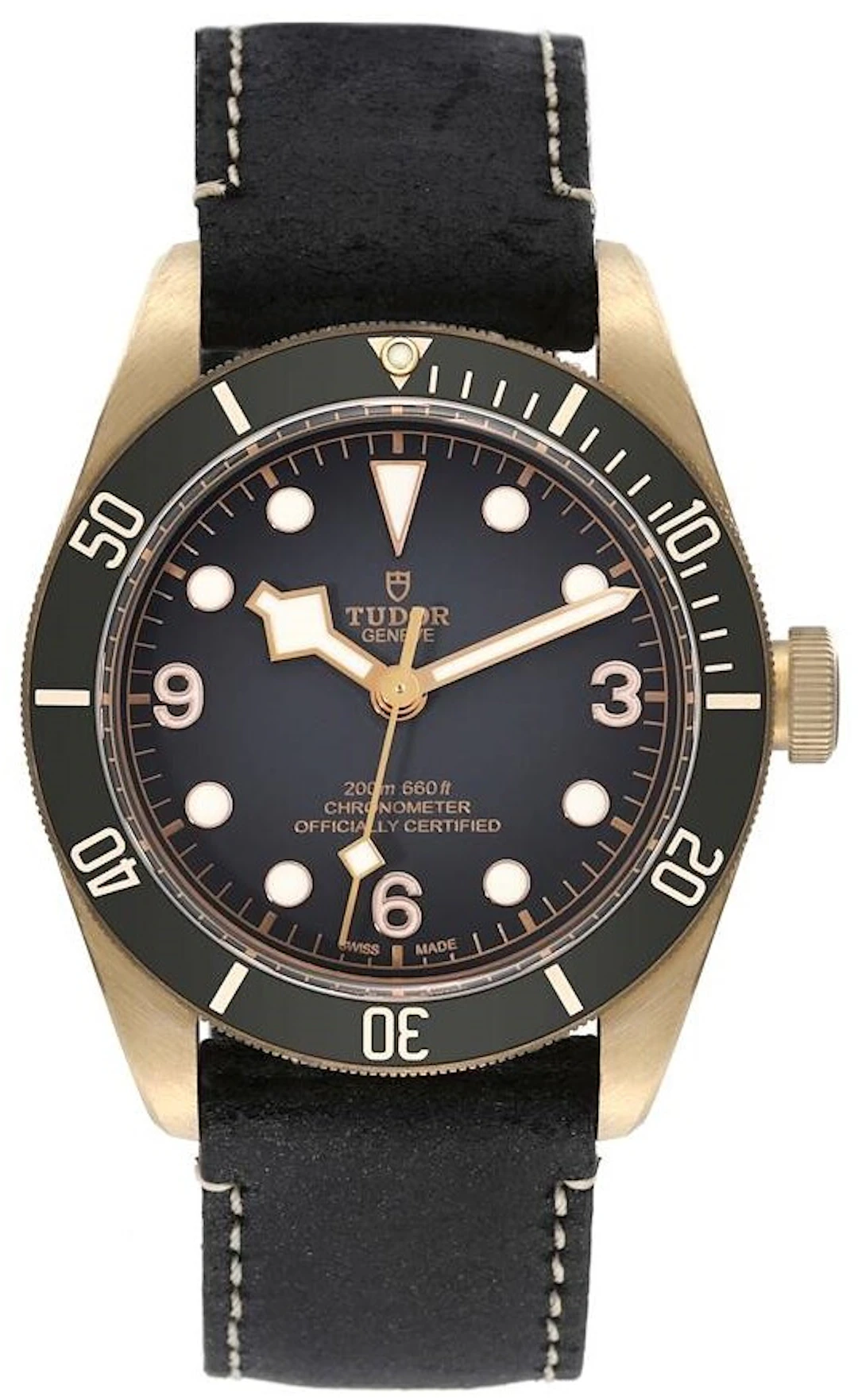 Tudor Black Bay M79250BA-0001 M79250BA-0001