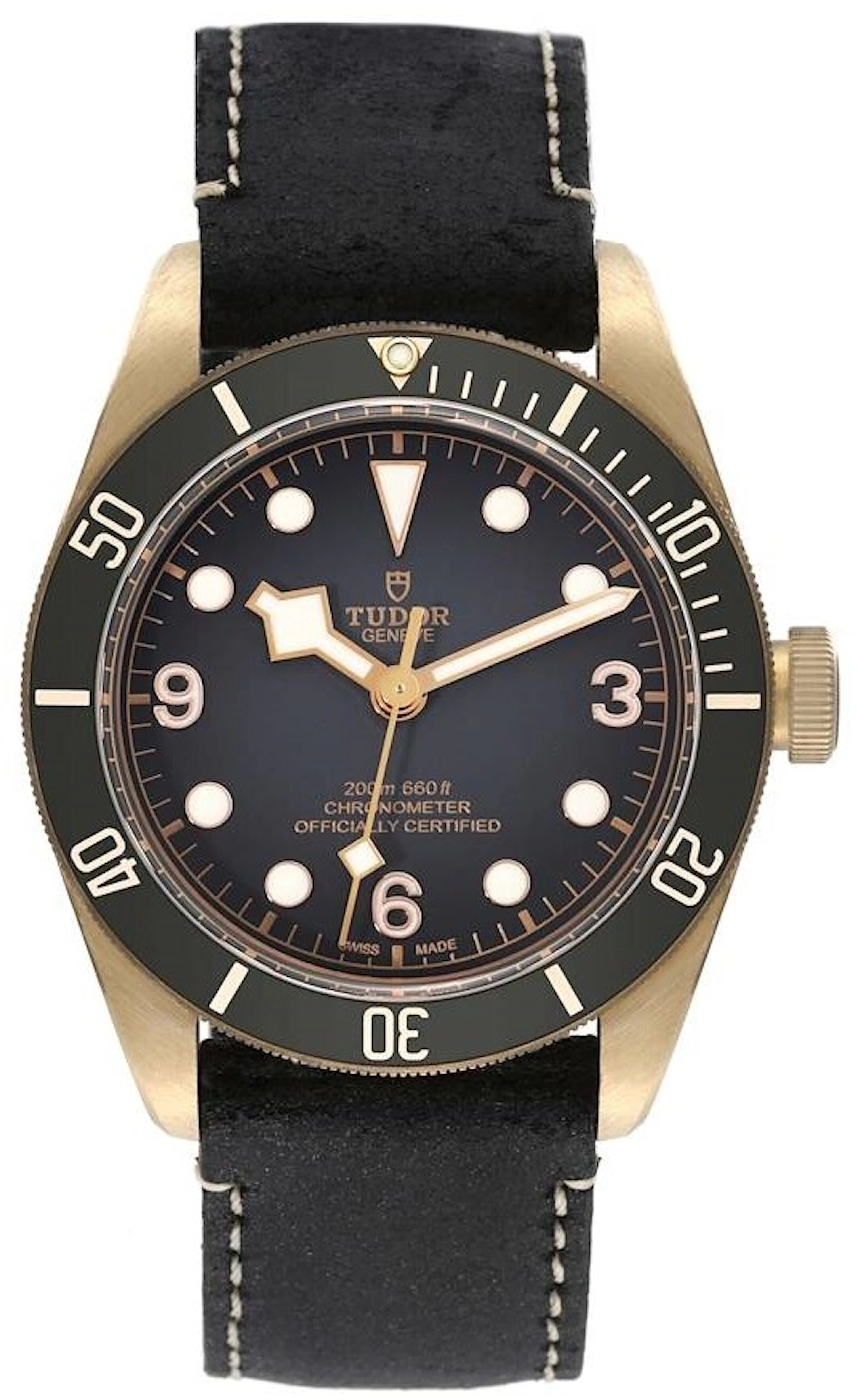 Tudor Black Bay M79250BA-0001 M79250BA-0001