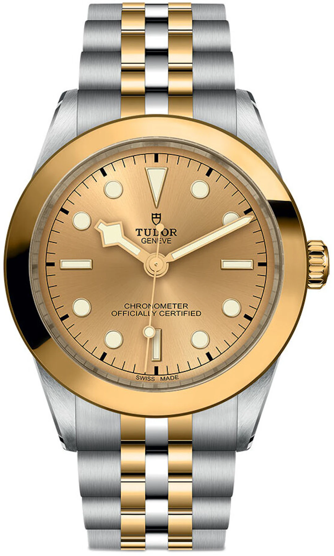 Tudor Black Bay M79663-0005 M79663-0005
