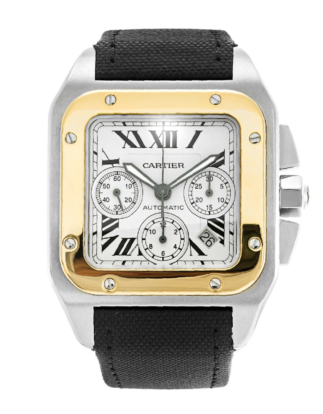 Cartier Santos Santos 100 W20091X7 W20091X7