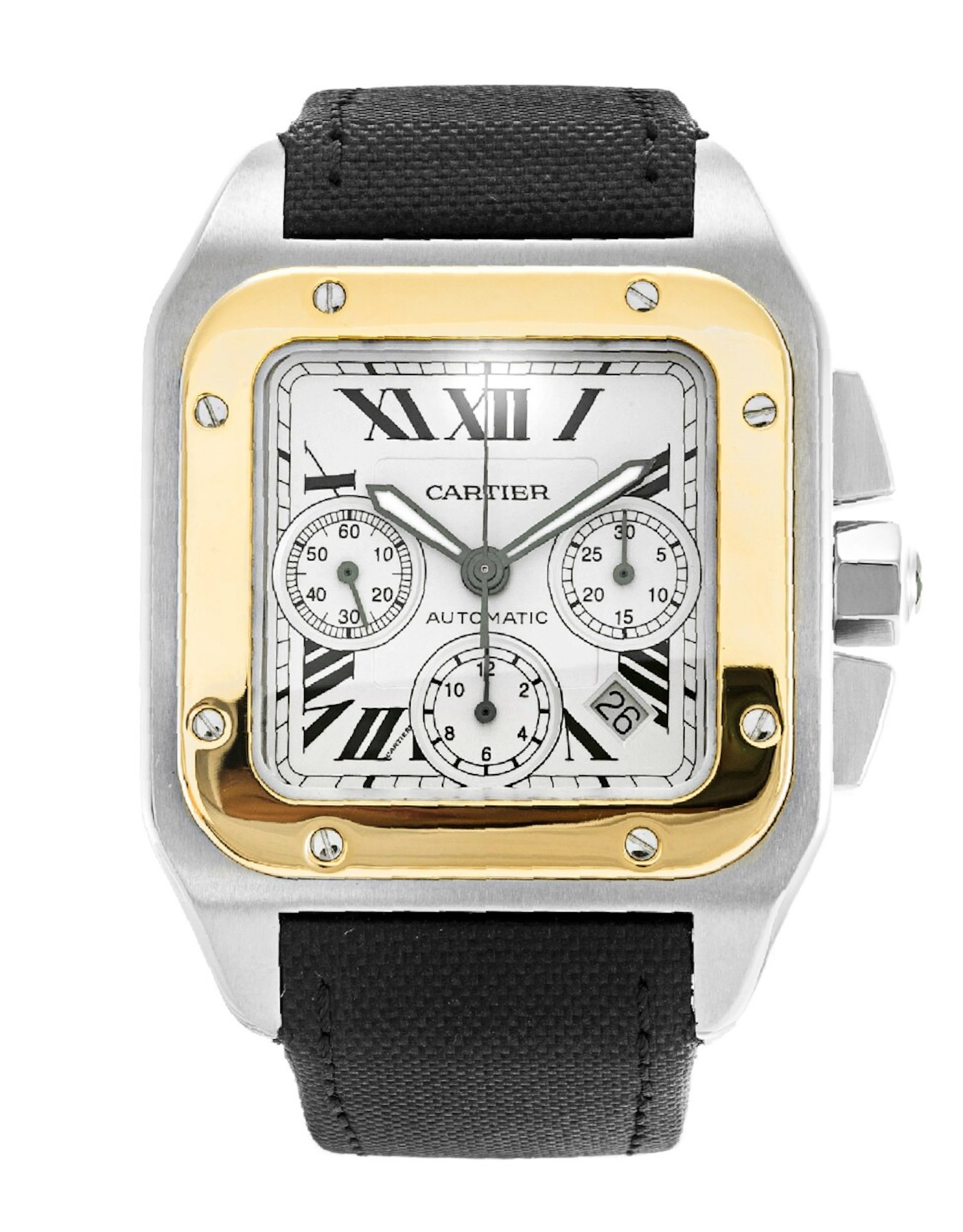 Cartier Santos Santos 100 W20091X7 W20091X7
