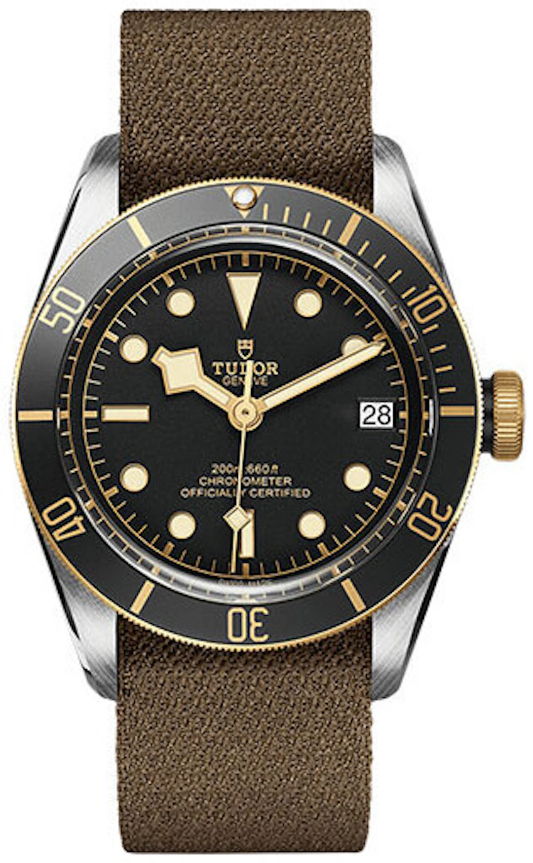 Tudor Black Bay M79733N-0005 M79733N-0005