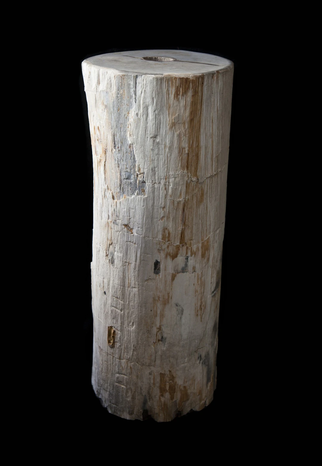 Fossilised Wood Plinth