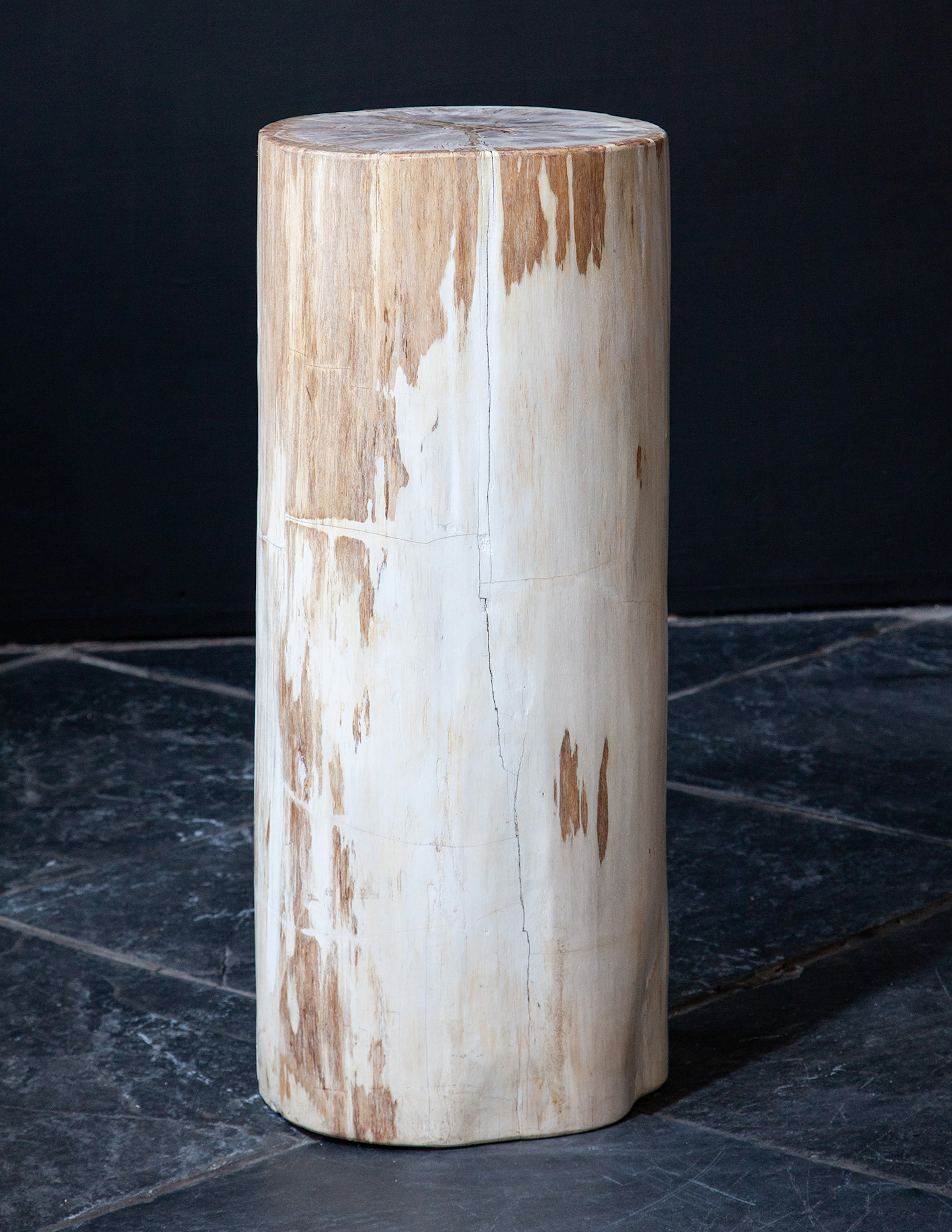 Tall Polished Fossil Wood Plinth