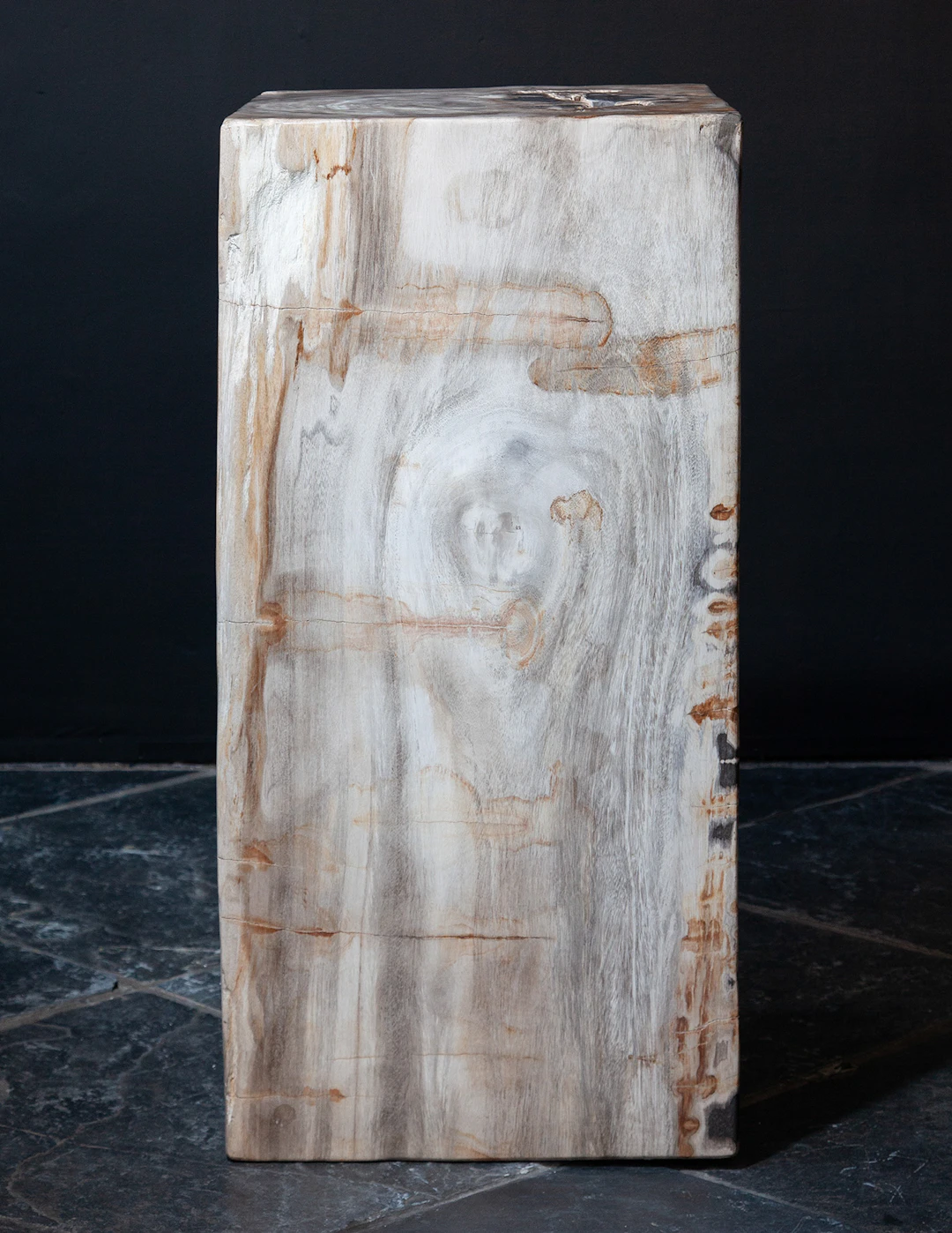 Giant Petrified Wood Plinth