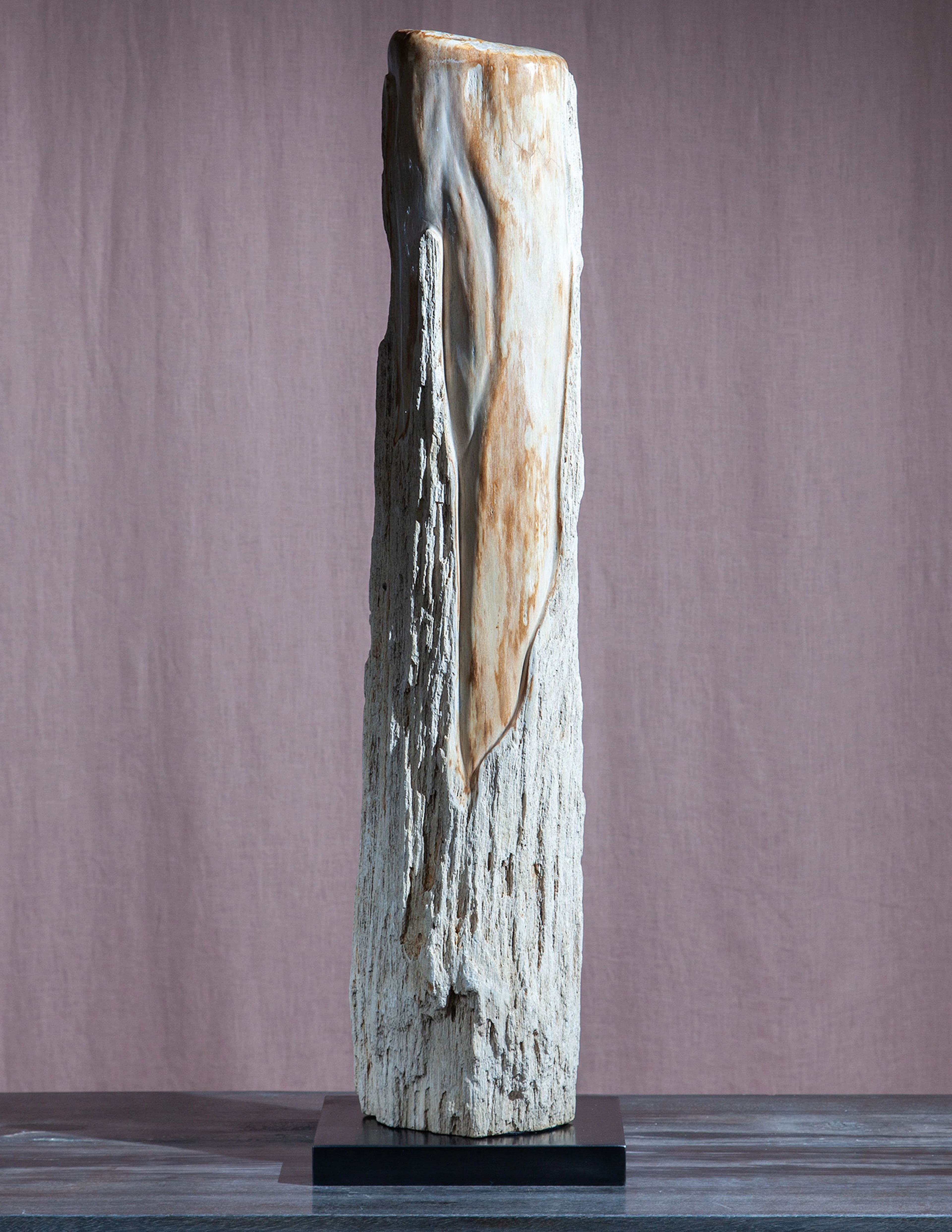 Mounted Petrified Wood
