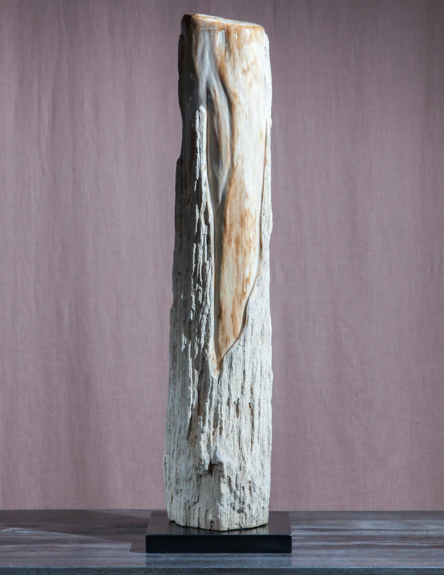 Mounted Petrified Wood