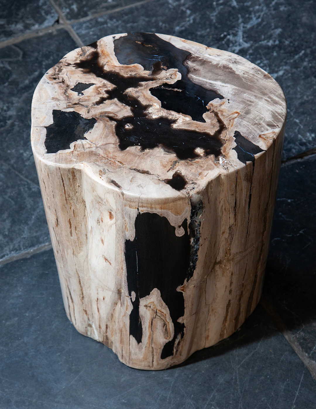 Petrified Wood Stool or Sidetable