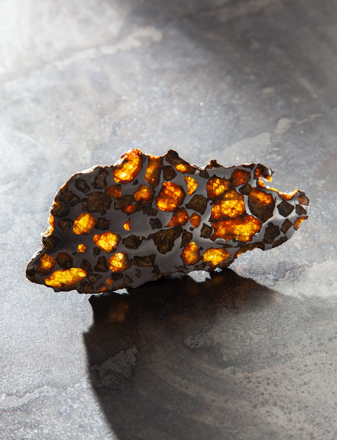 Pallasite Meteorite Slice