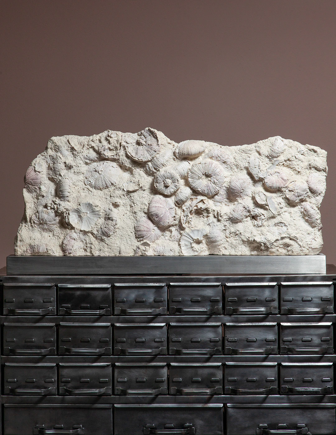 Rare Pink Sea Urchin Bed