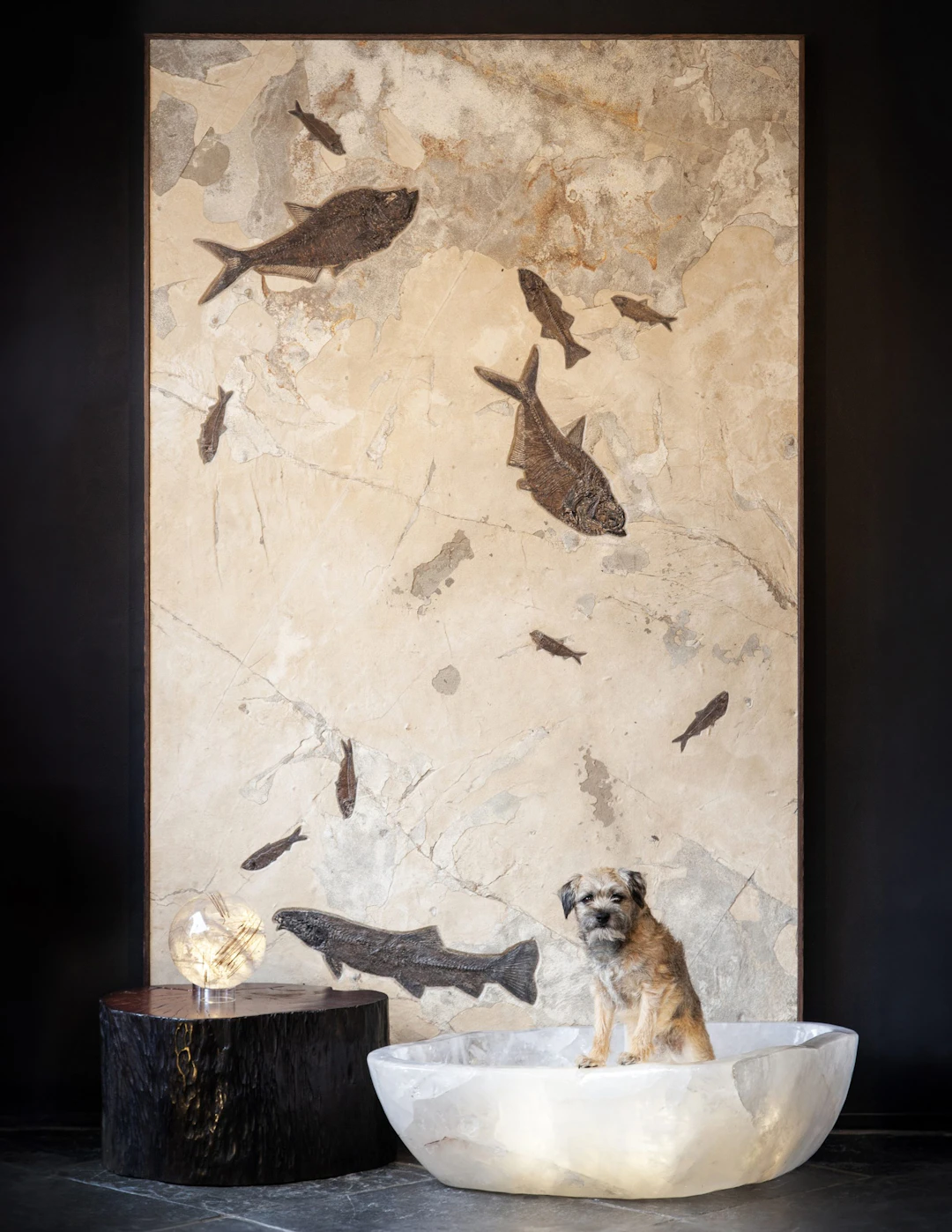 Giant Fossil Fish Wall Plate