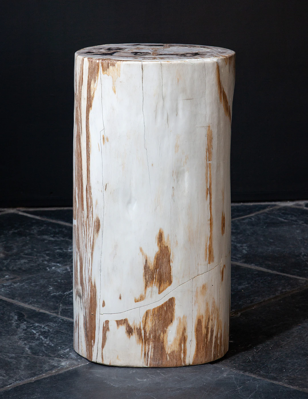 Fossil Wood Plinth