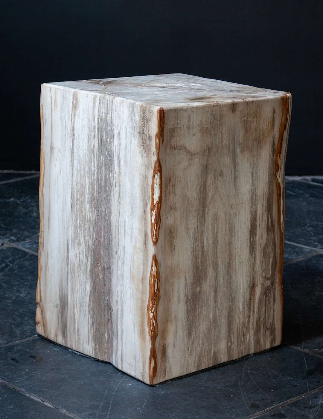 Large Fossil Wood Plinth