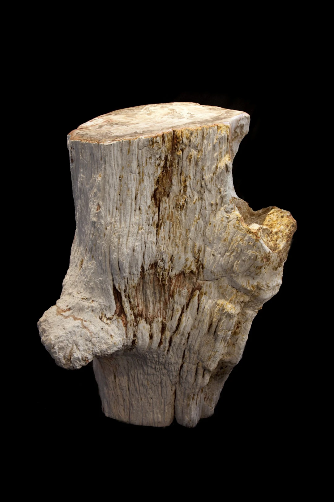 Monolithic Fossilised Wood Freeform