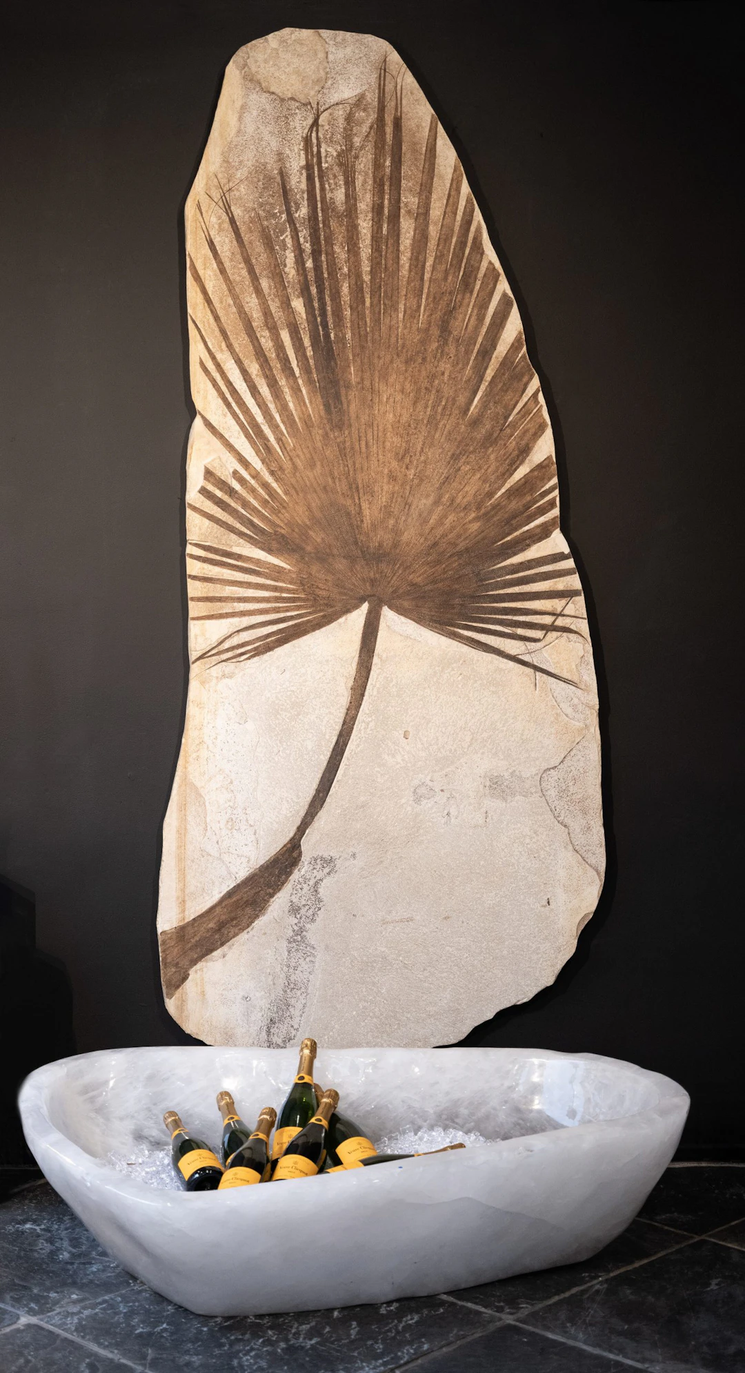 Giant Fossil Palm Frond