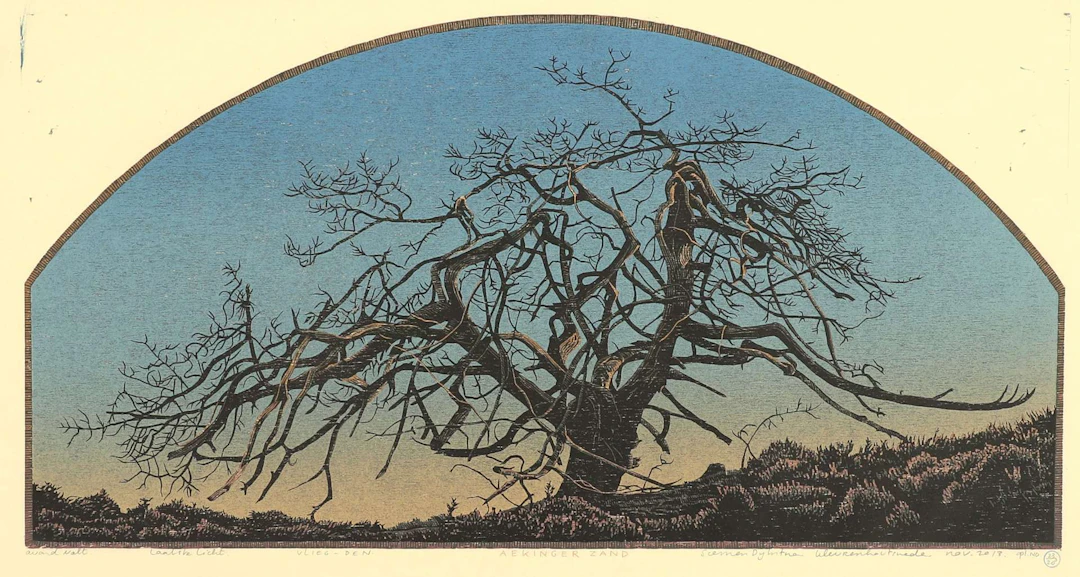 Siemen Dijkstra (1968), ‘Evening falls, last light, flying-den (Aekingerzand)’